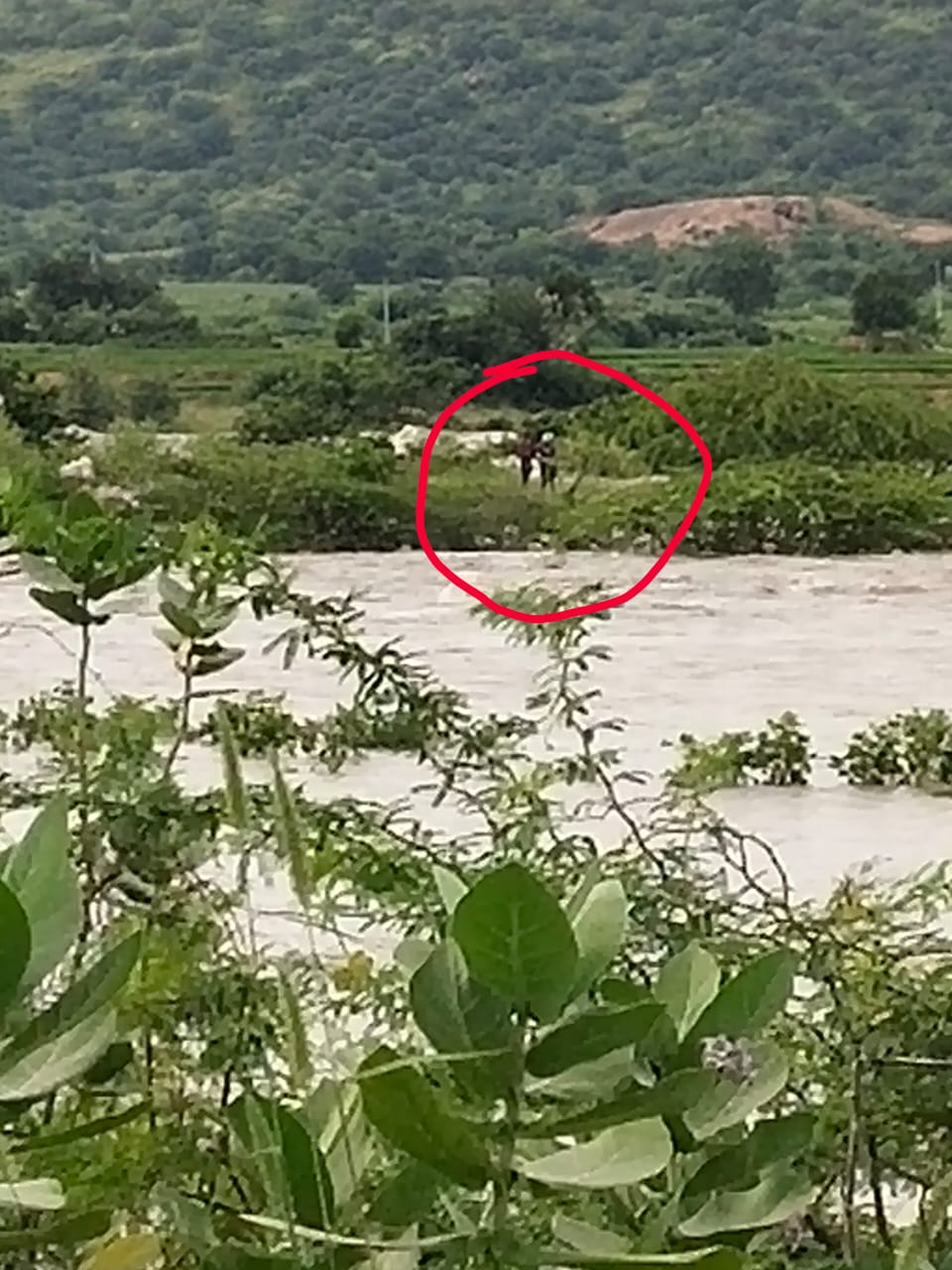 heavy rains in mahaboobangar district