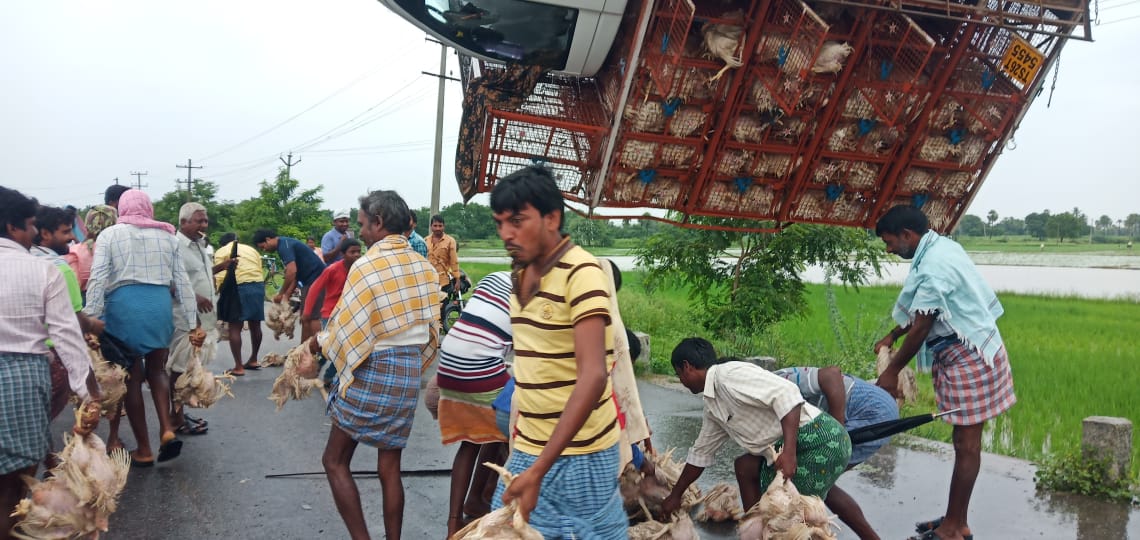 a bolero van carrying chickens overturns in near nashimpet suryapet district