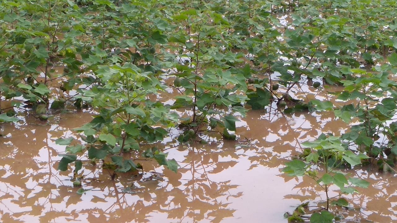 heavy rain at tungaturthi in suryapet district