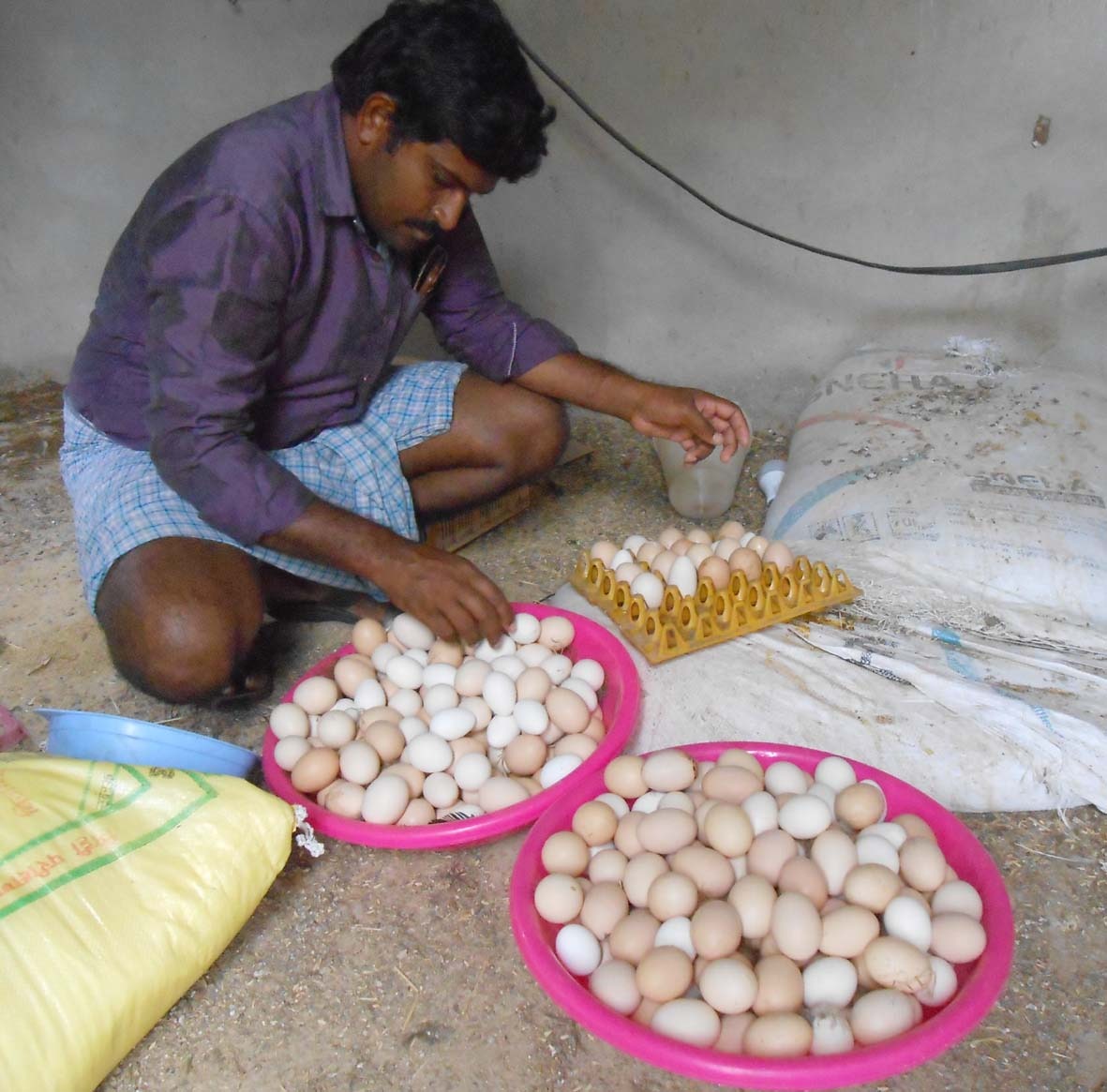 Naresh started Poultry farming in pamukunta village, yadadri bhongir district