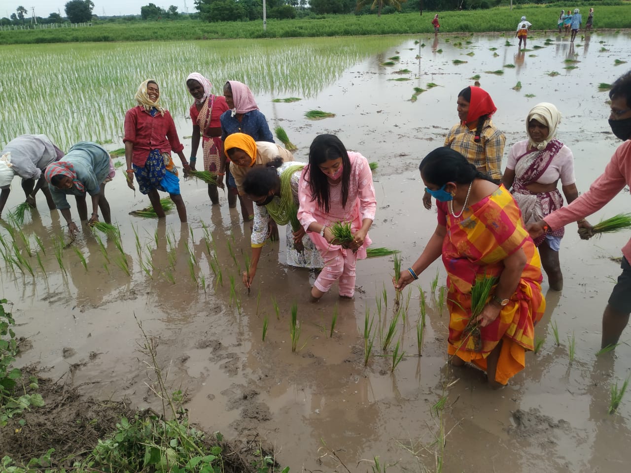 training collector garima agarval visited farming fields