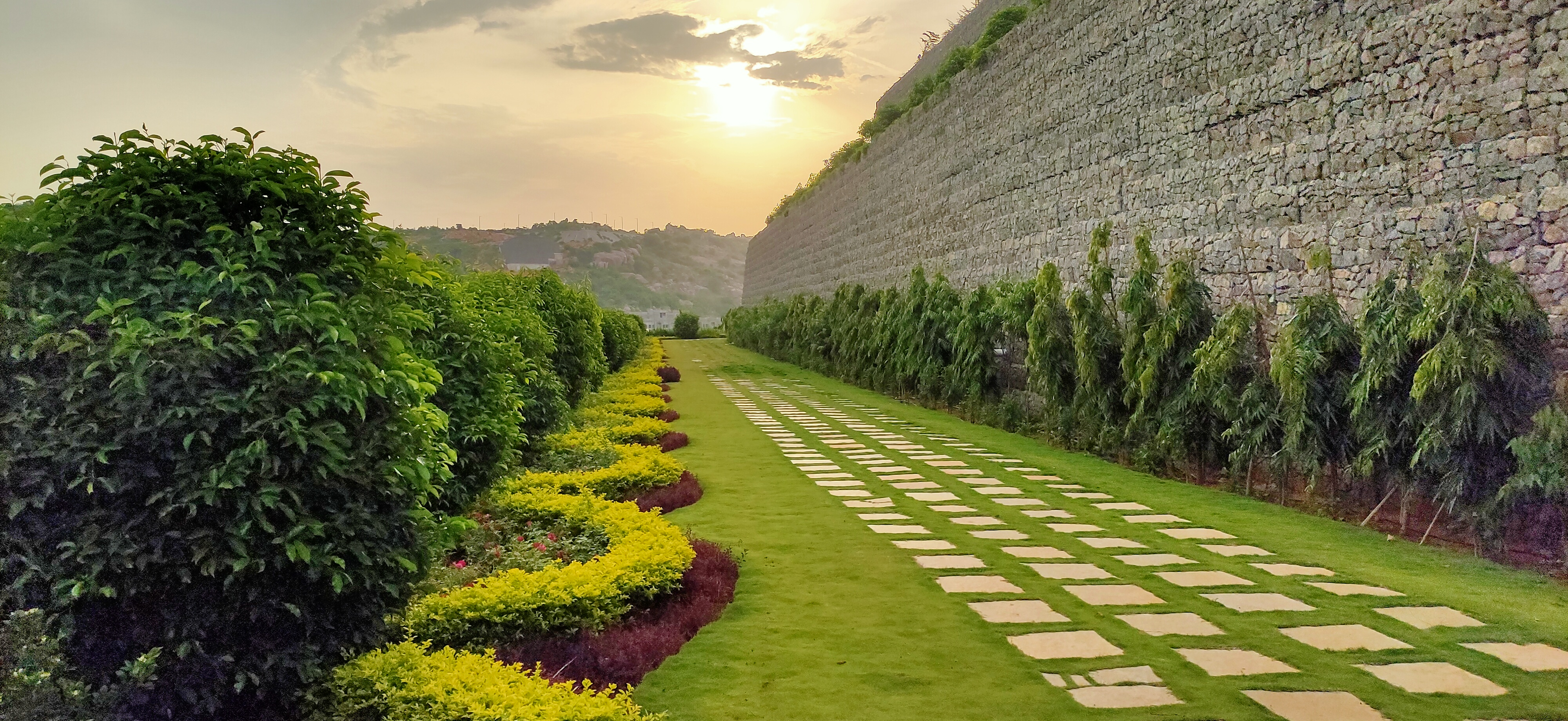 haritha haram in yadadri