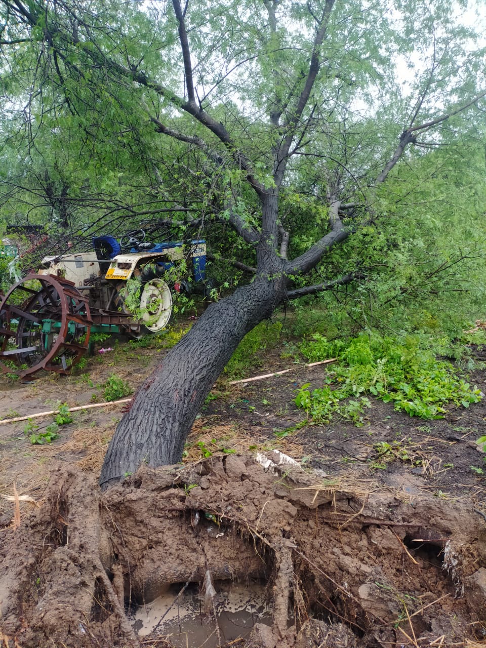 heavy-rain-at-bb-pet-in-kamareddy-district