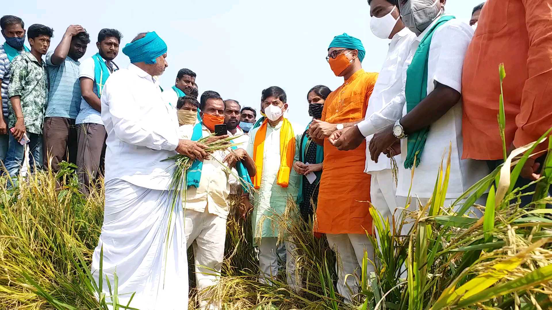 పంటలను పరిశీలిస్తున్న ఎంపీ అర్వింద్​