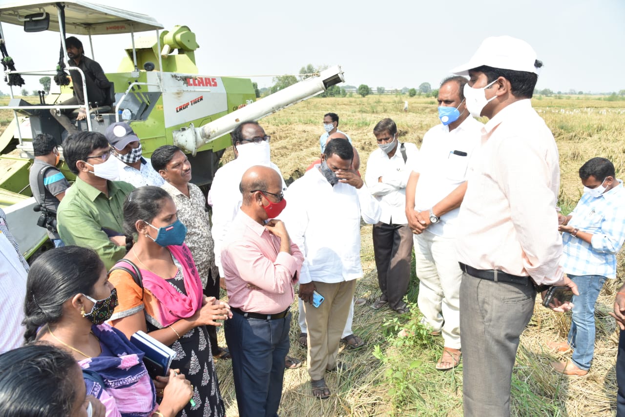 crop harvesting inspected by nizamabad collector narayanreddy at kaloor