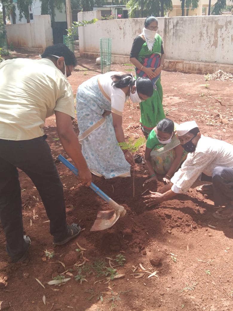 junior judge sridevi planted plants in jaheerabad court surroundings