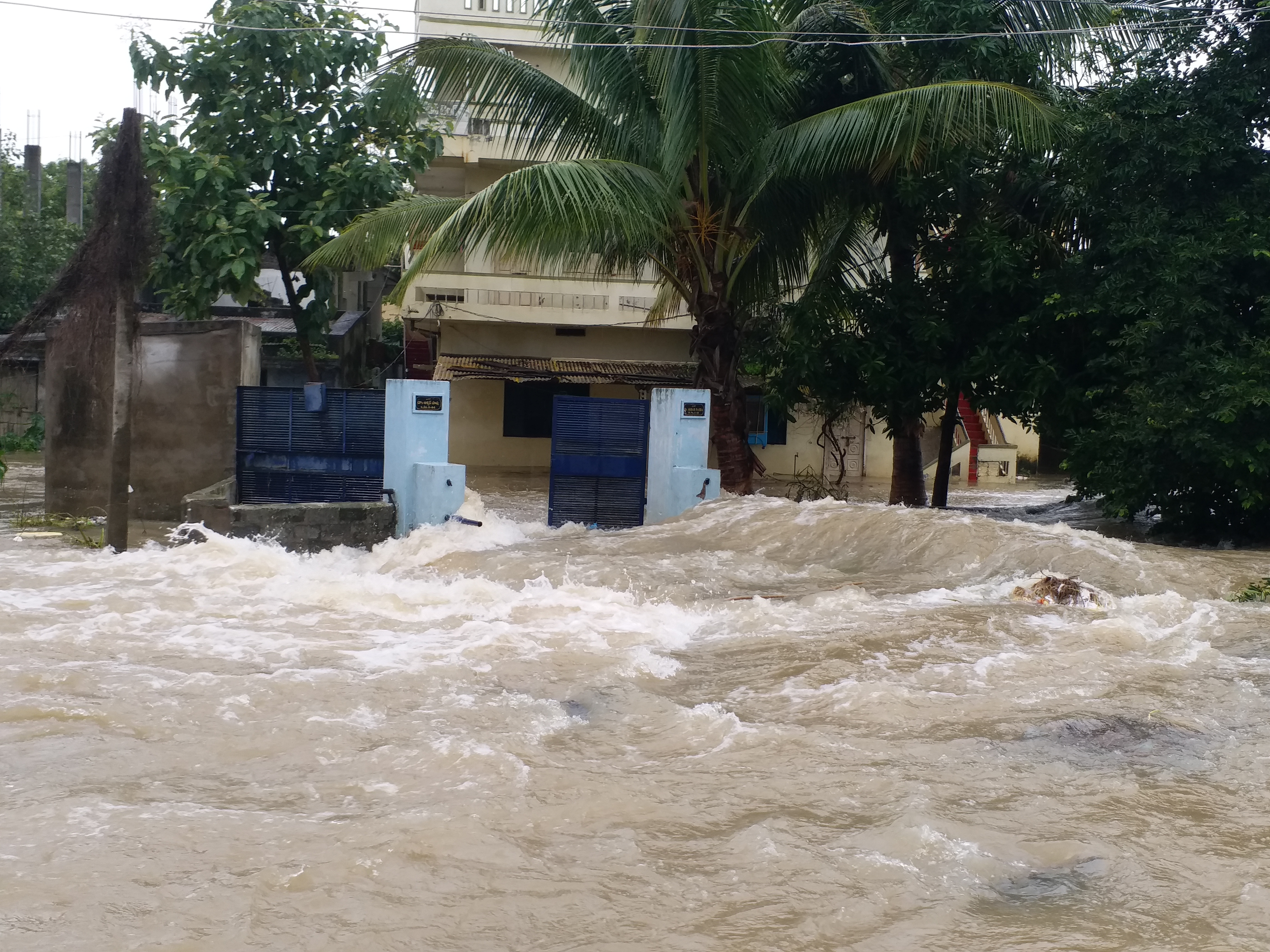 people fear about rain in warangal district