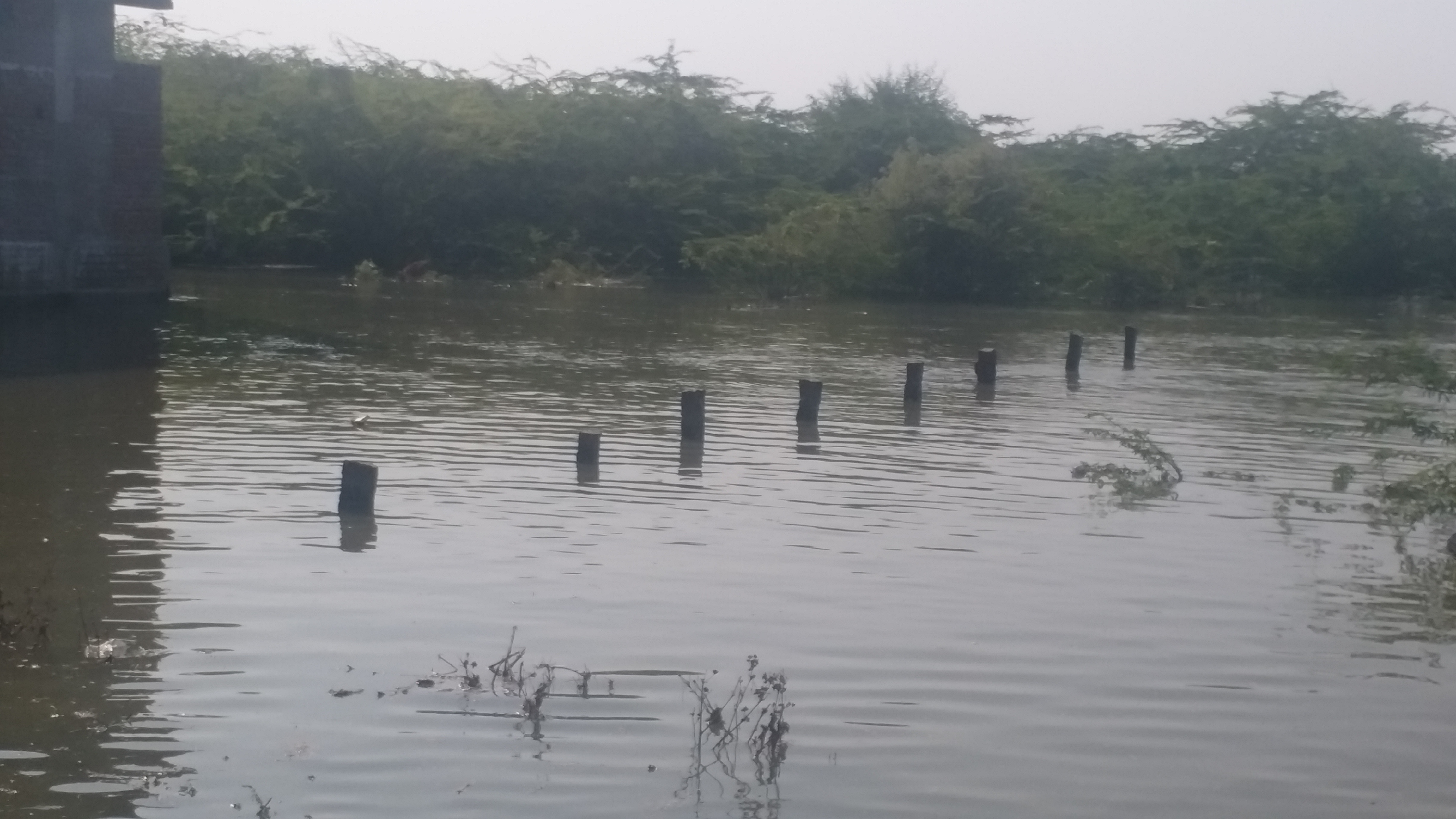 colonies-submerged-by-srsp-canal-flood-at-hanamkonda-in-warangal-urban-district