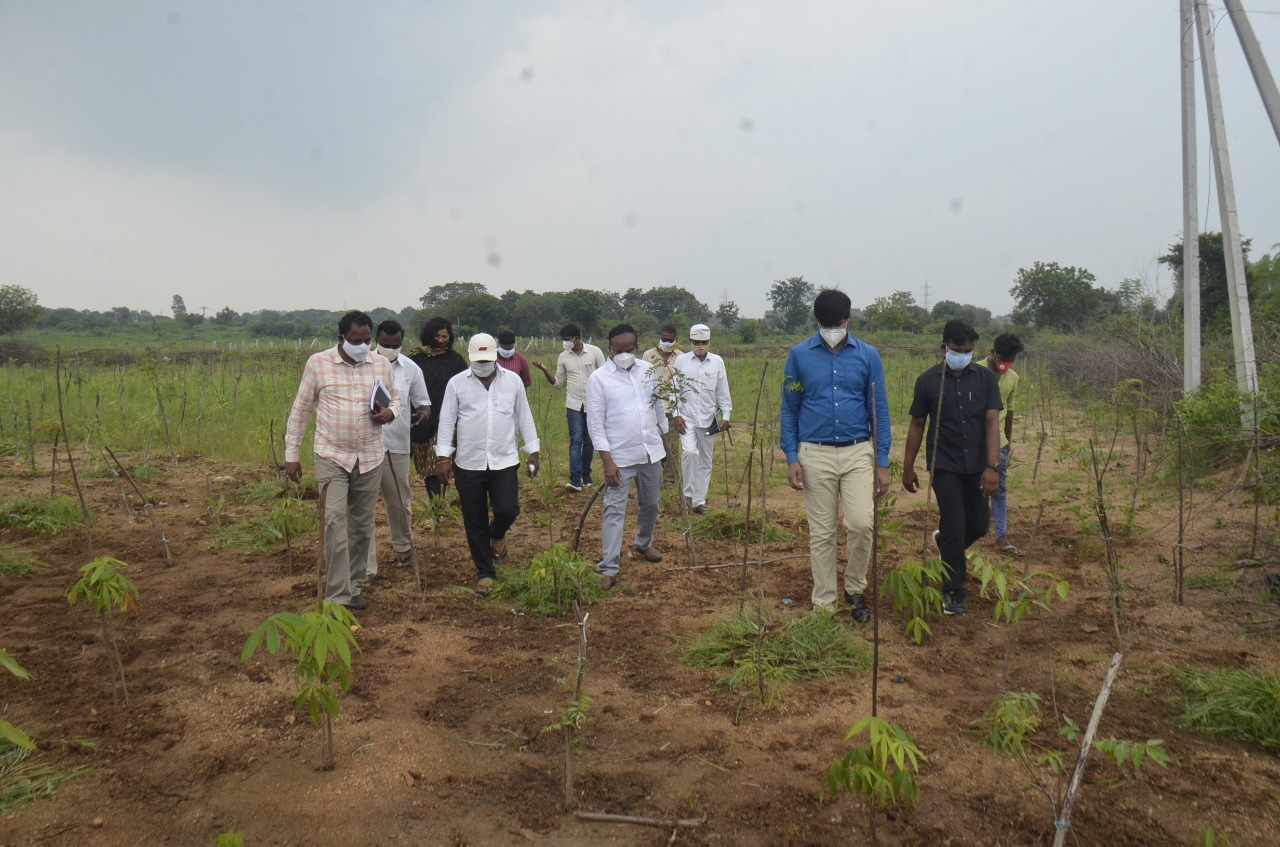 జిల్లా కేంద్రంలో అభివృద్ధి పనుల్ని పరిశీలించిన కలెక్టర్ గౌతమ్