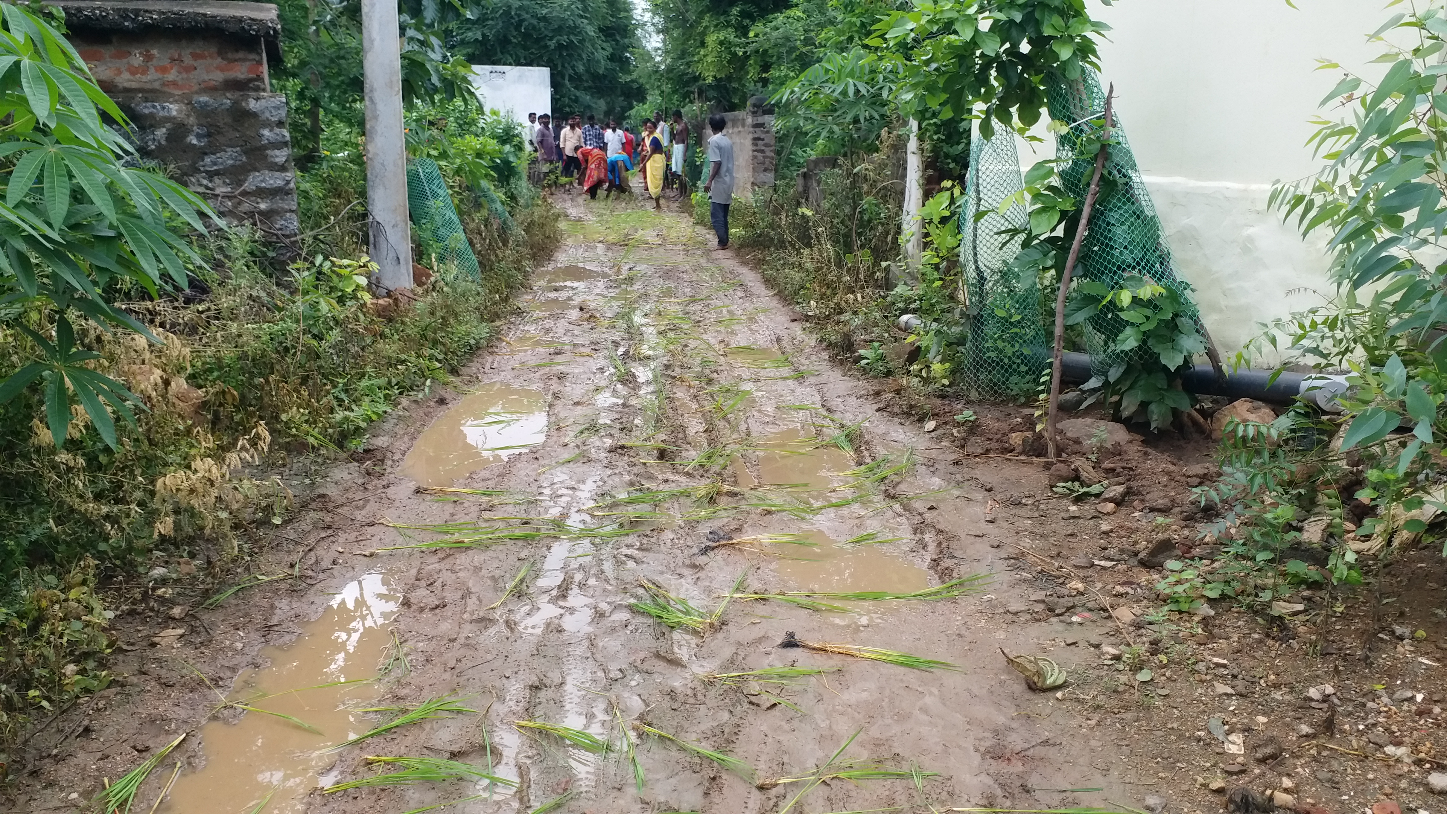 madanapuram villagers protest for cc roads in their colony at mahabubabad