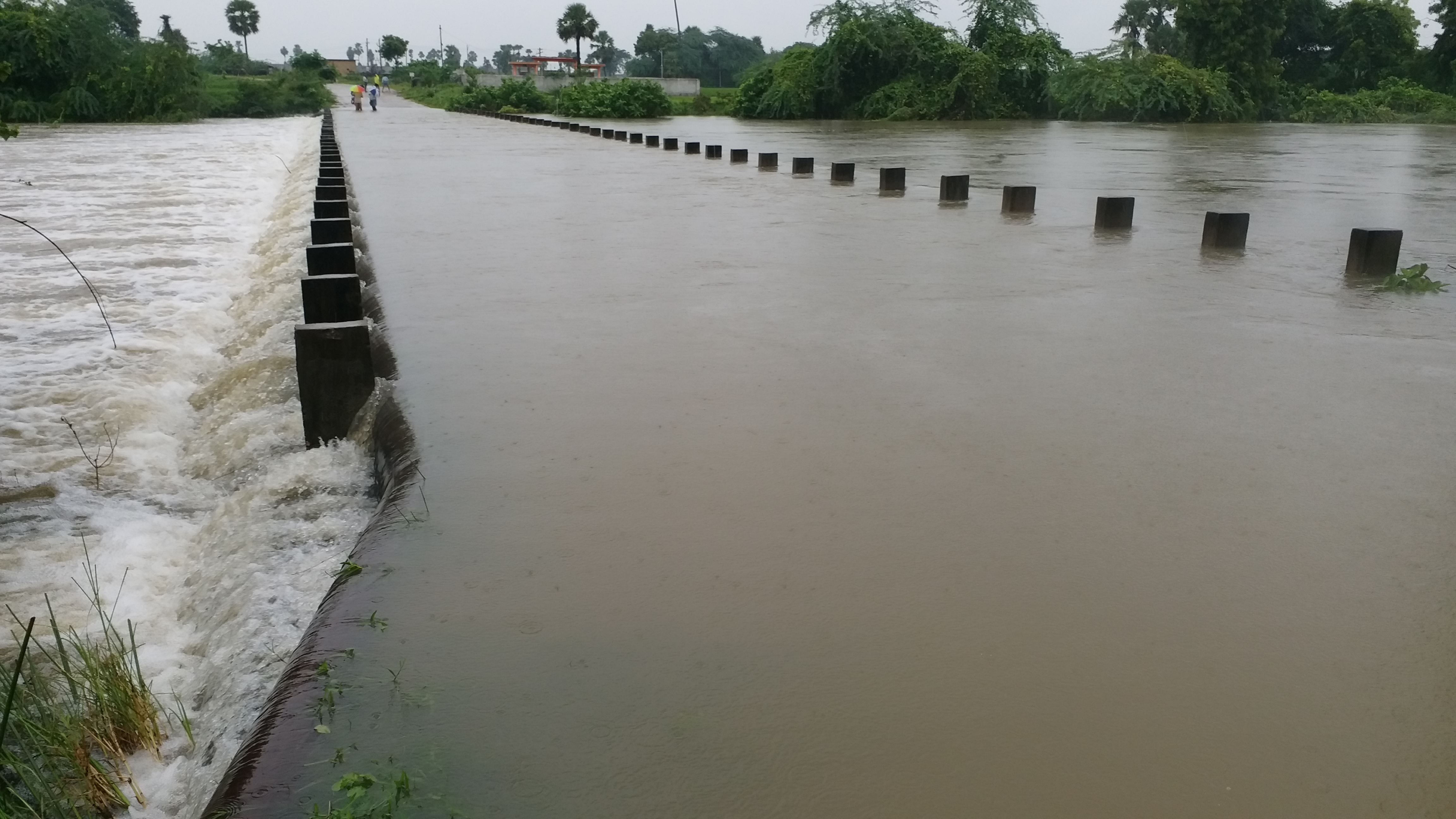 flood hits dornakal constituency due to heavy rain