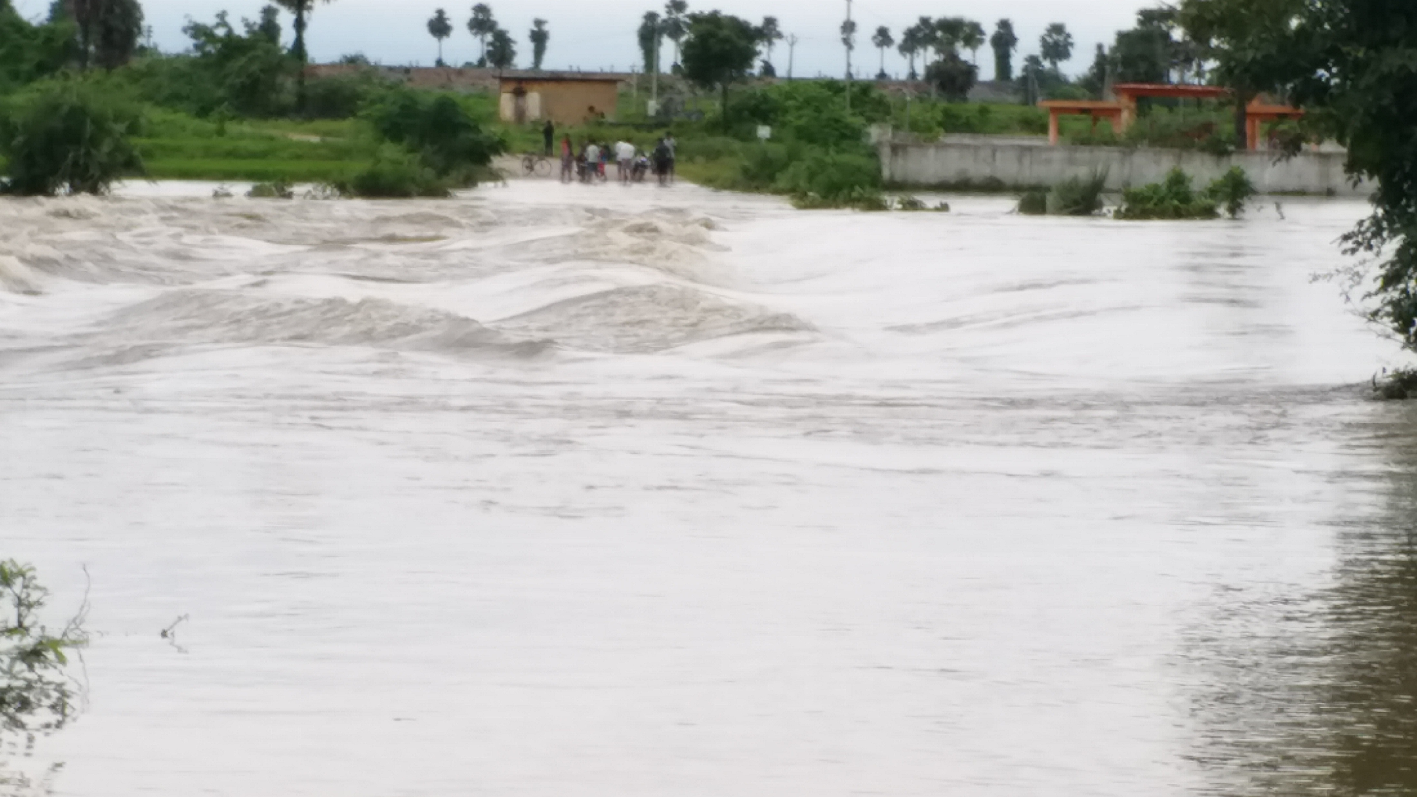 ponds-in-mahabubabad-district-are-over-flooded-with-rain-water