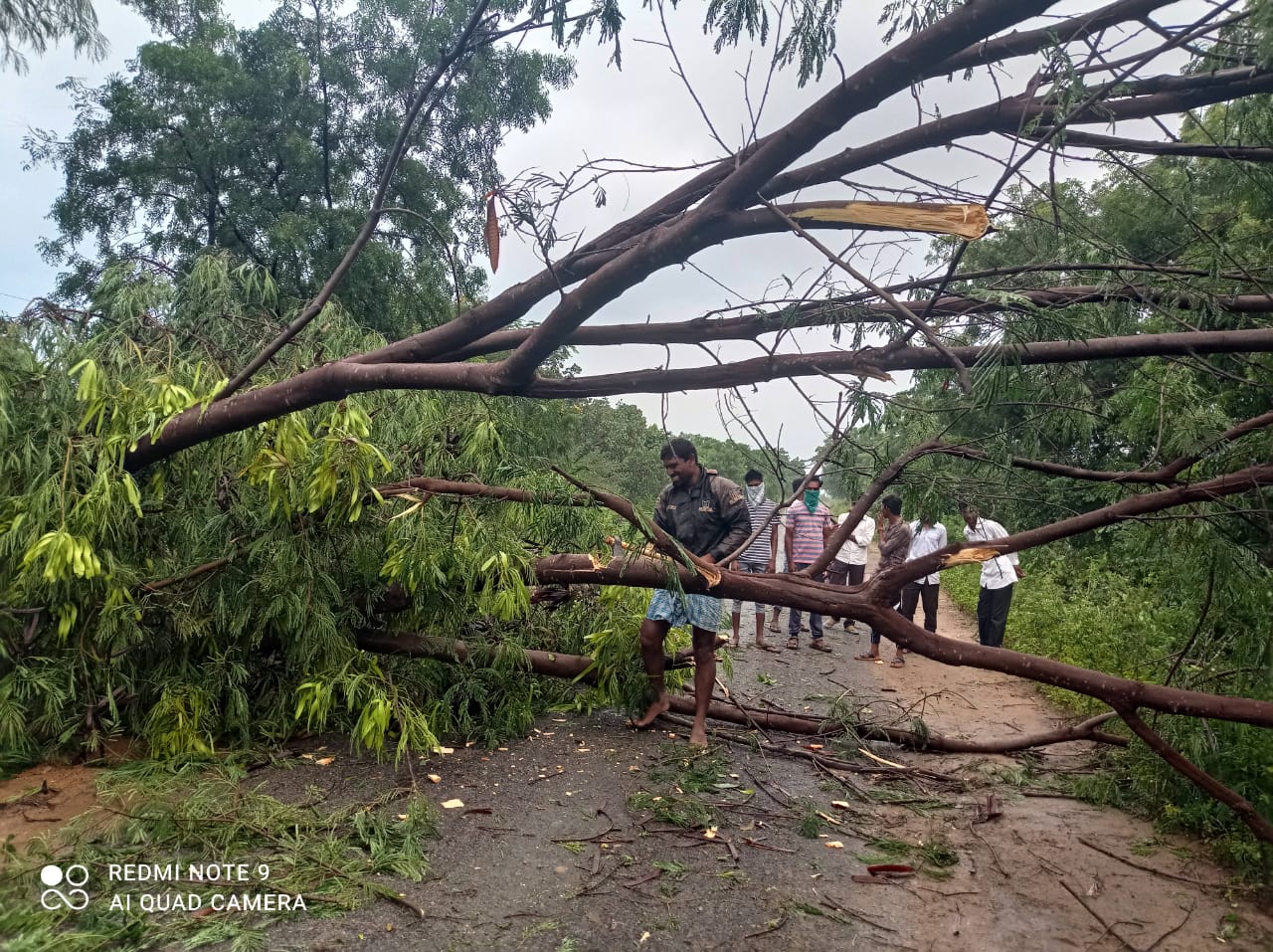 వాన బీభత్సం: ఉరుములు, మెరుపులతో కుండపోత వర్షం