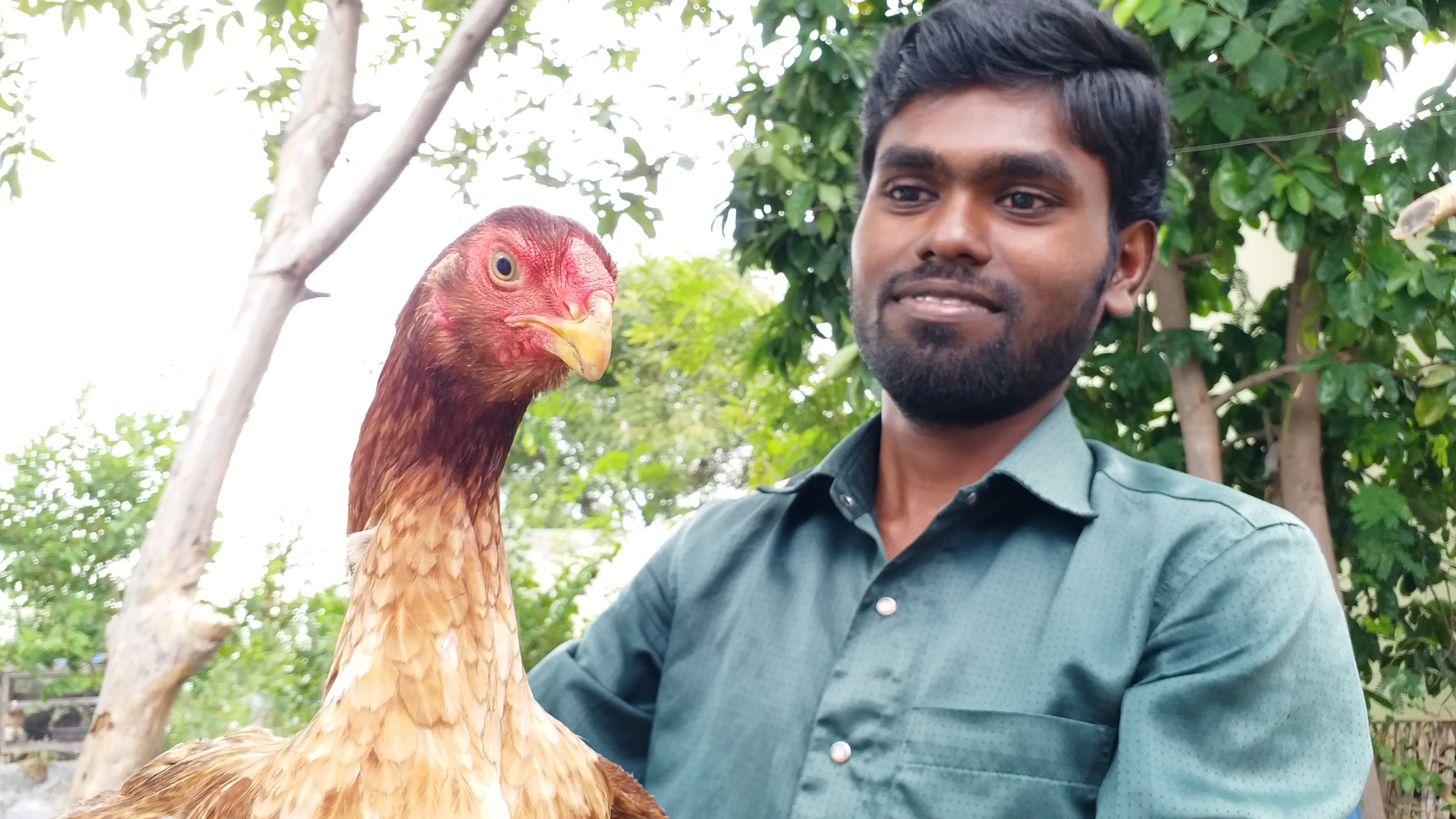 Engineering graduate makes a mark in country hen breeding!