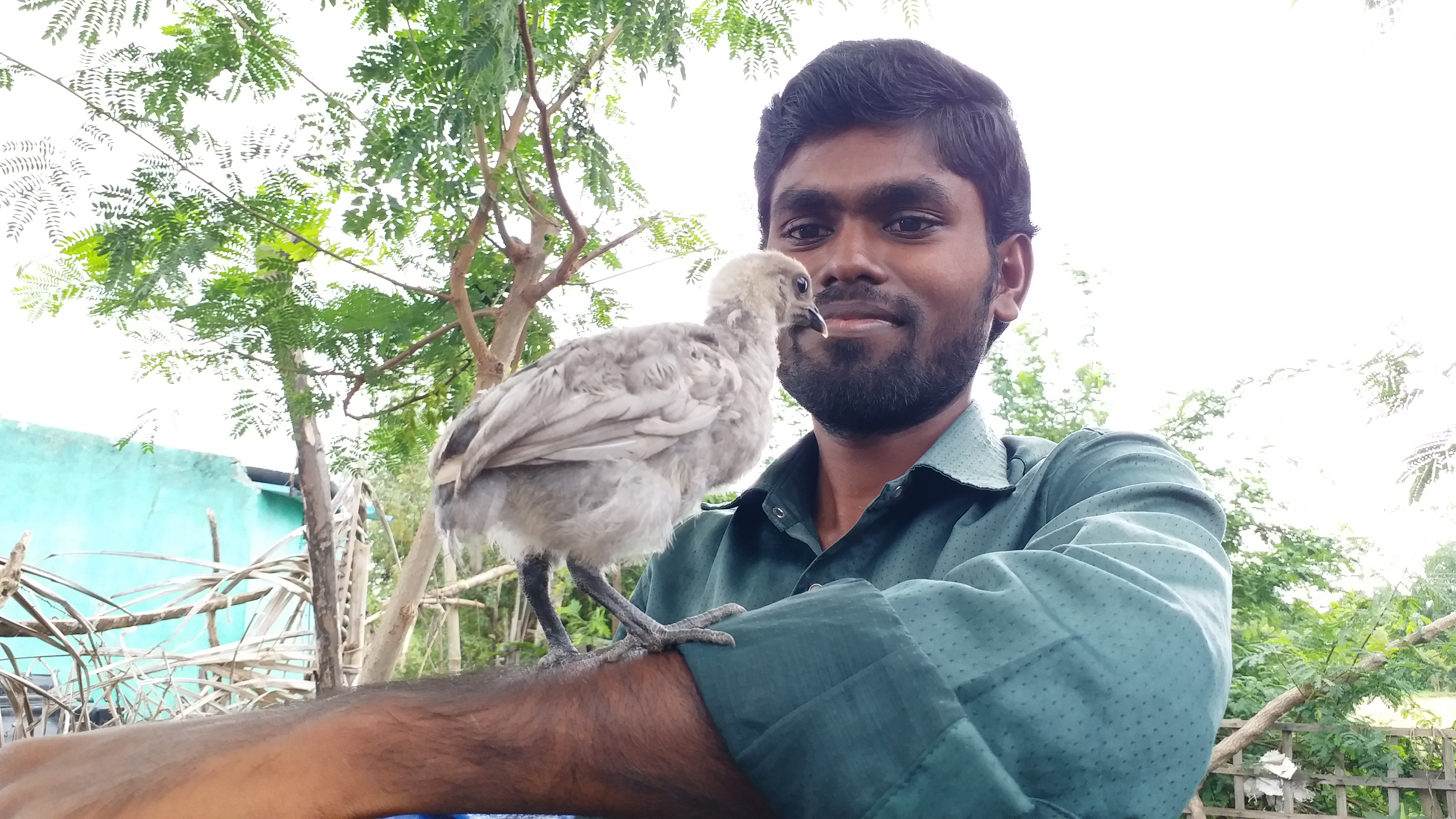 Engineering graduate makes a mark in country hen breeding!