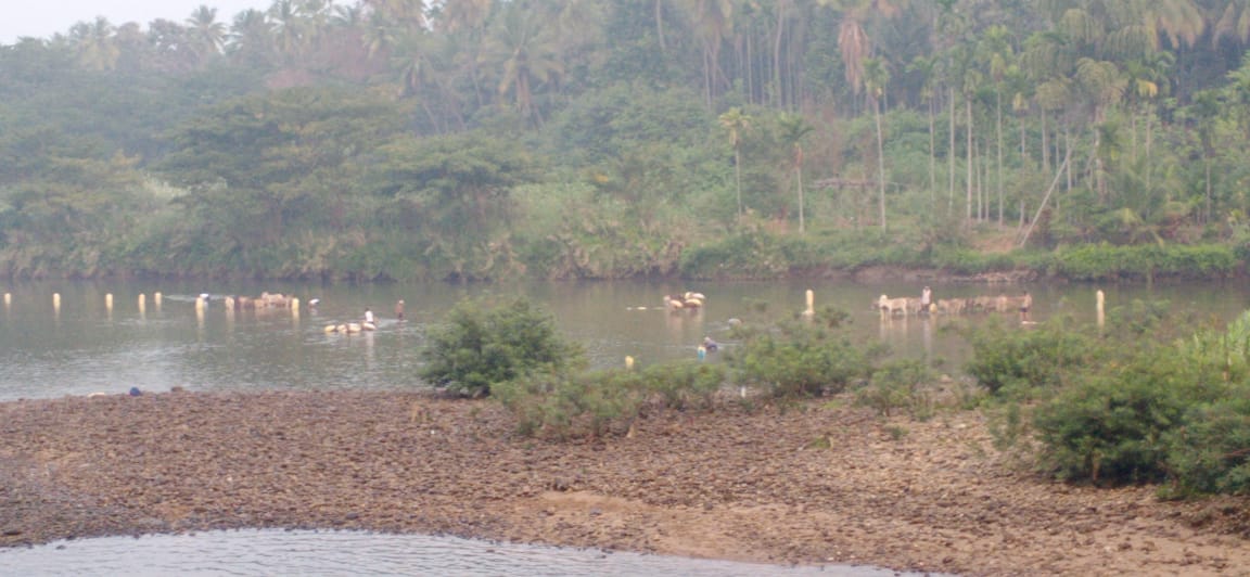 மேட்டுப்பாளையம்