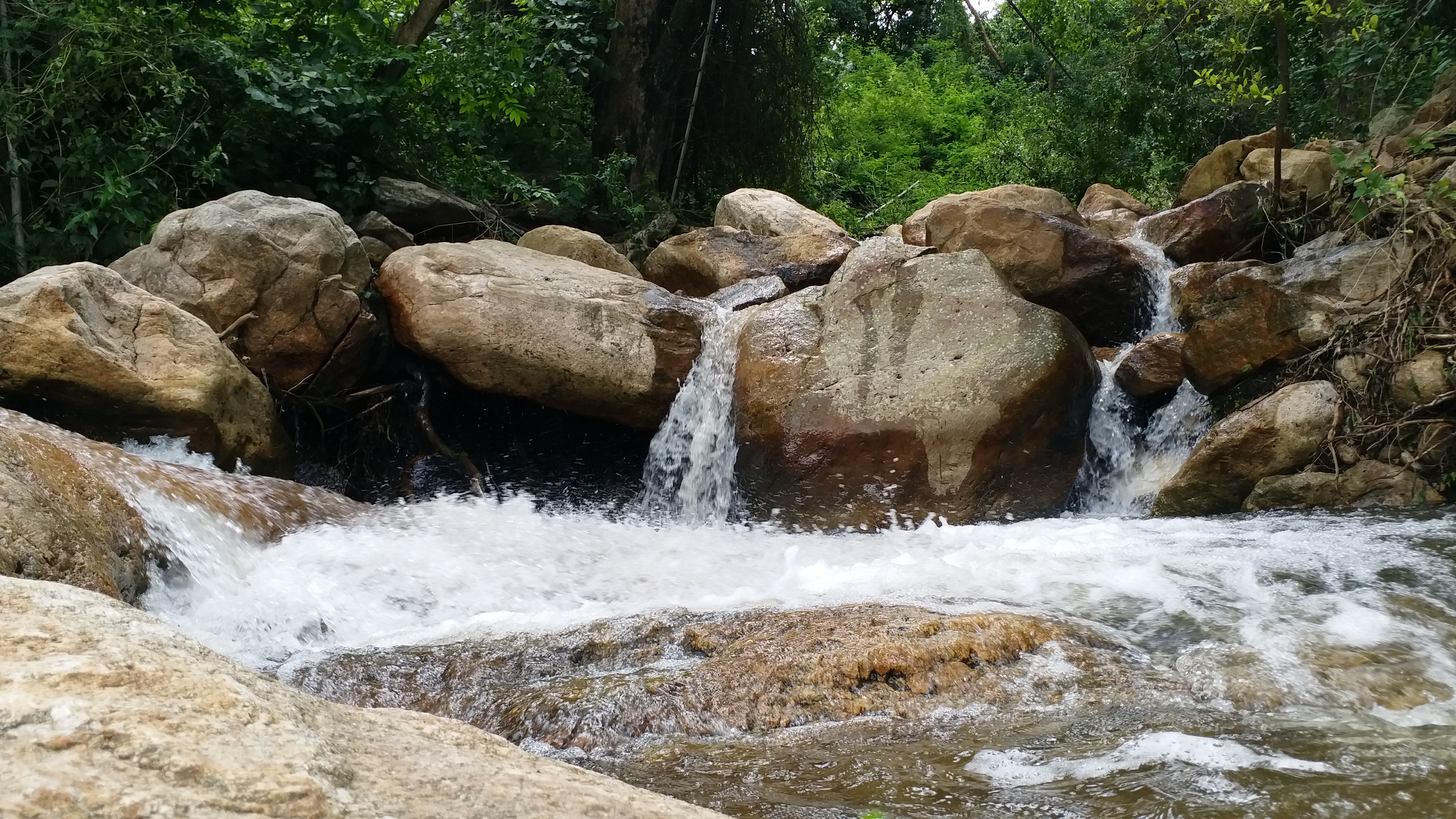 வைதேகி நீர்வீழ்ச்சி