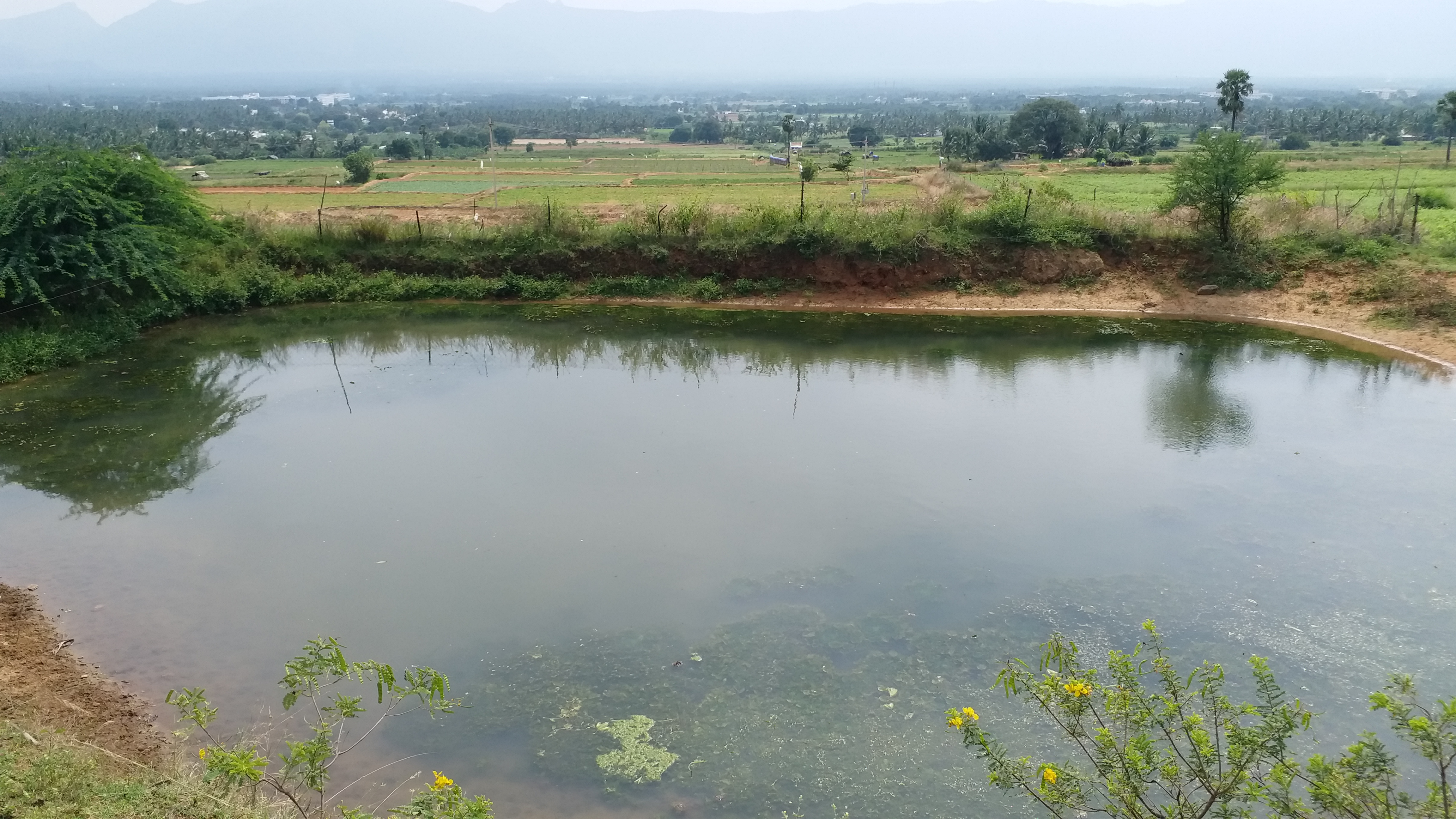 யானையை கடவுளாக மதிக்கும் விவசாய குடும்பம்