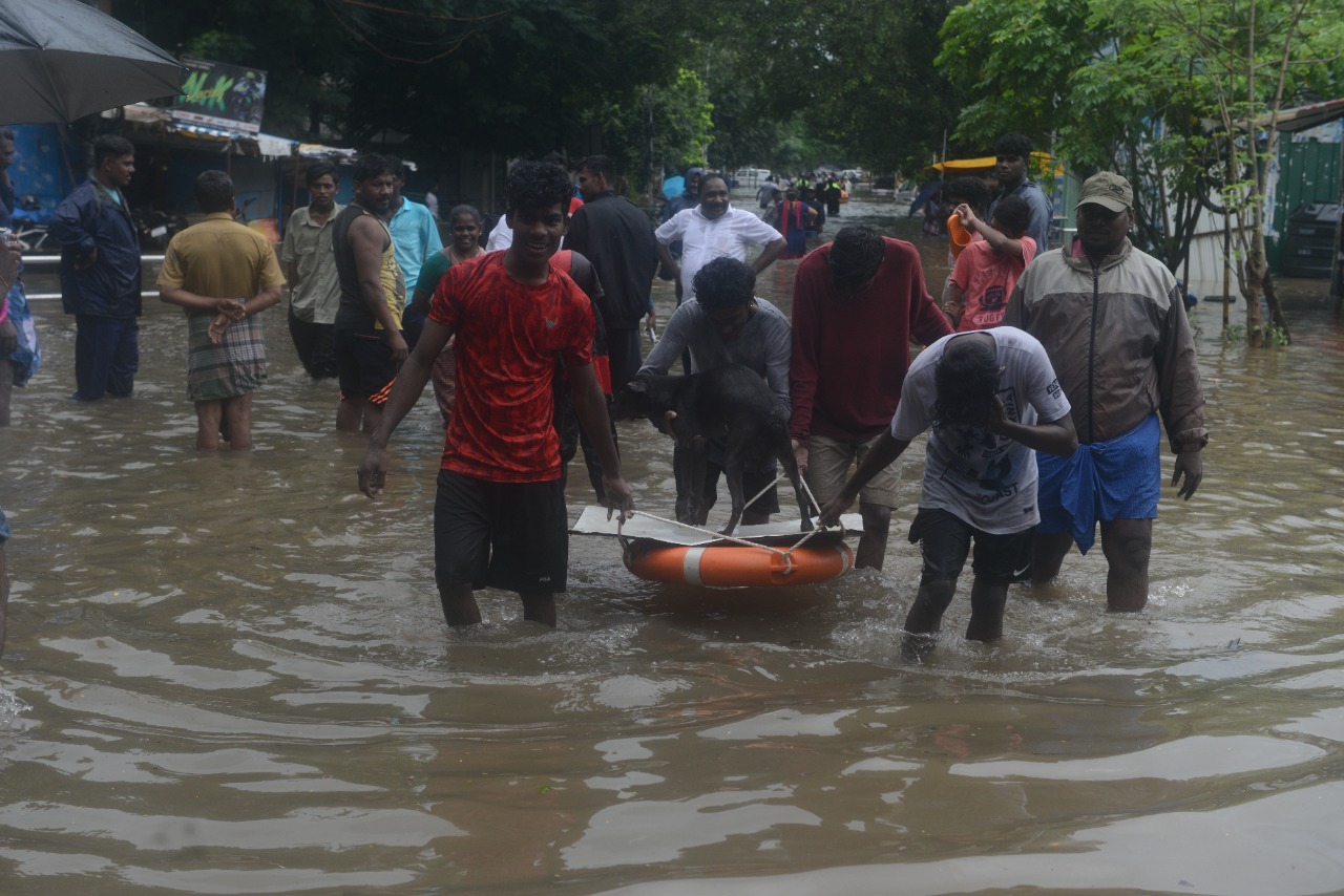 மீட்பு பணி