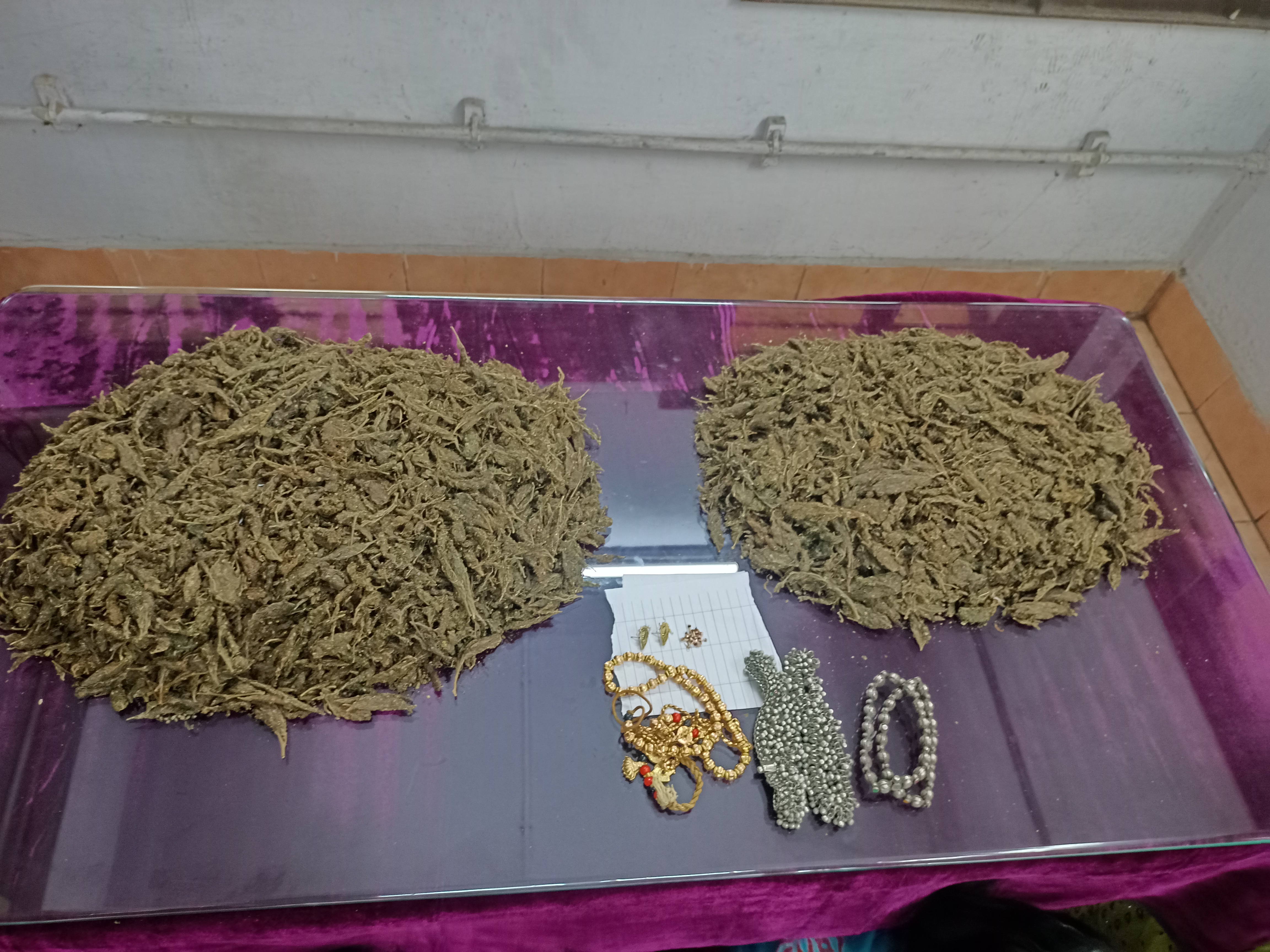 kasimedu cannabis selling gang trapped by chennai cops