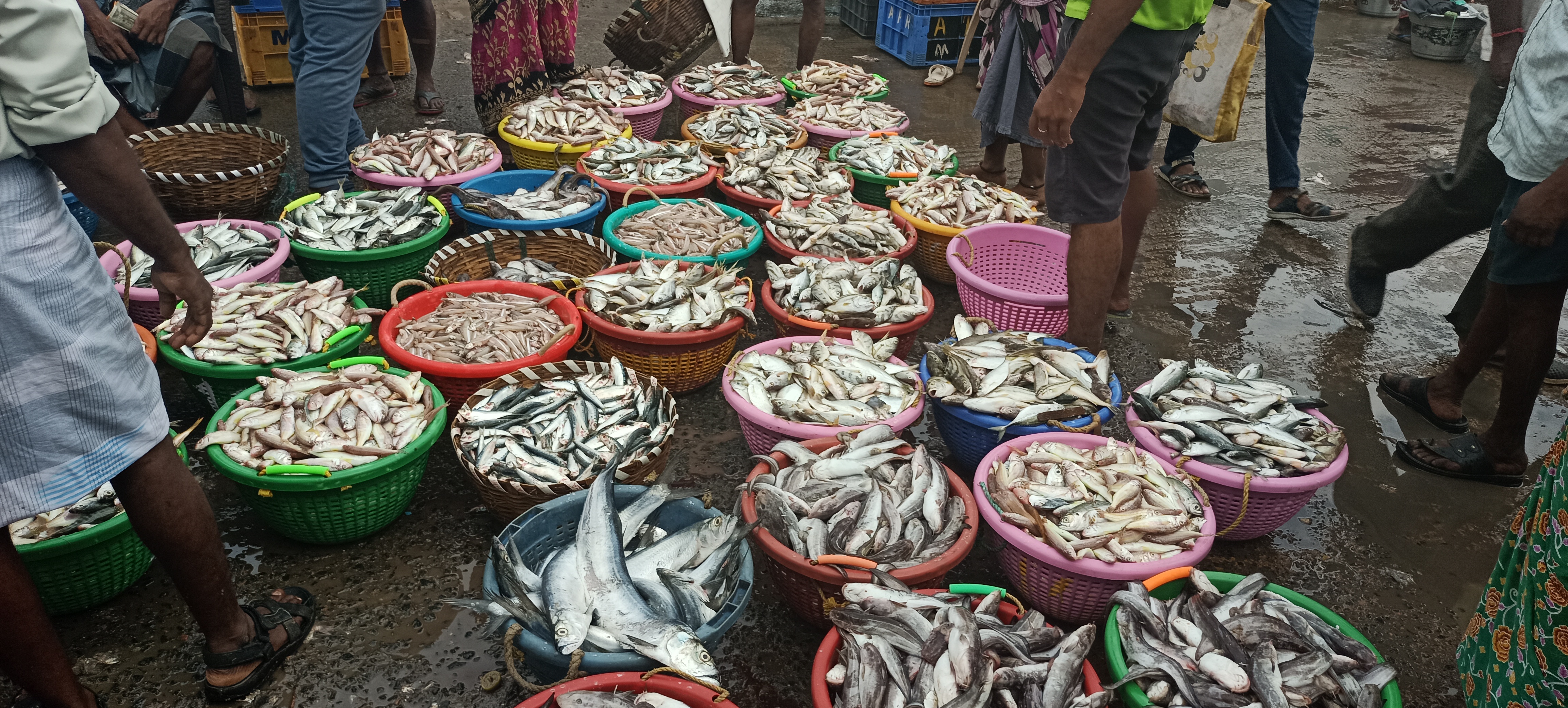 kasimedu fish market  chennai kasimedu fish market  chennai kasimedu fish market people rush  people rushes in kasimedu fish market  fish market  chennai news  chennai latest news  fisher man worries about less amount of fish  less amount of fish  காசிமேடு மீன் மார்கெட்  காசிமேடு மீன் சந்தை  சென்னை காசிமேடு மீன் சந்தை  மீன் சந்தை  சென்னை செய்திகள்  மீன் வரவு குறைவால் மக்கள் ஏமாற்றம்  மீன் வரத்து குறைவால் மீனவர்கள் கவலை  சென்னை காசிமேடு சந்தையில் மீன் வரத்து குறைவால் மீன் வியாபாரிகள் கவலை  சென்னை காசிமேடு மீன் மார்கெட் மீன் வரத்து