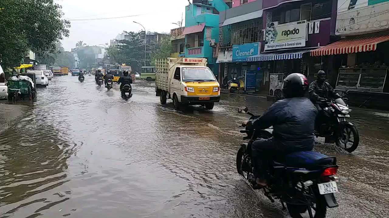 TN braces up for Nivar, public transport services halted in cyclone prone districts 1pm update