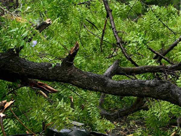 TN braces up for Nivar, public transport services halted in cyclone prone districts 1pm update