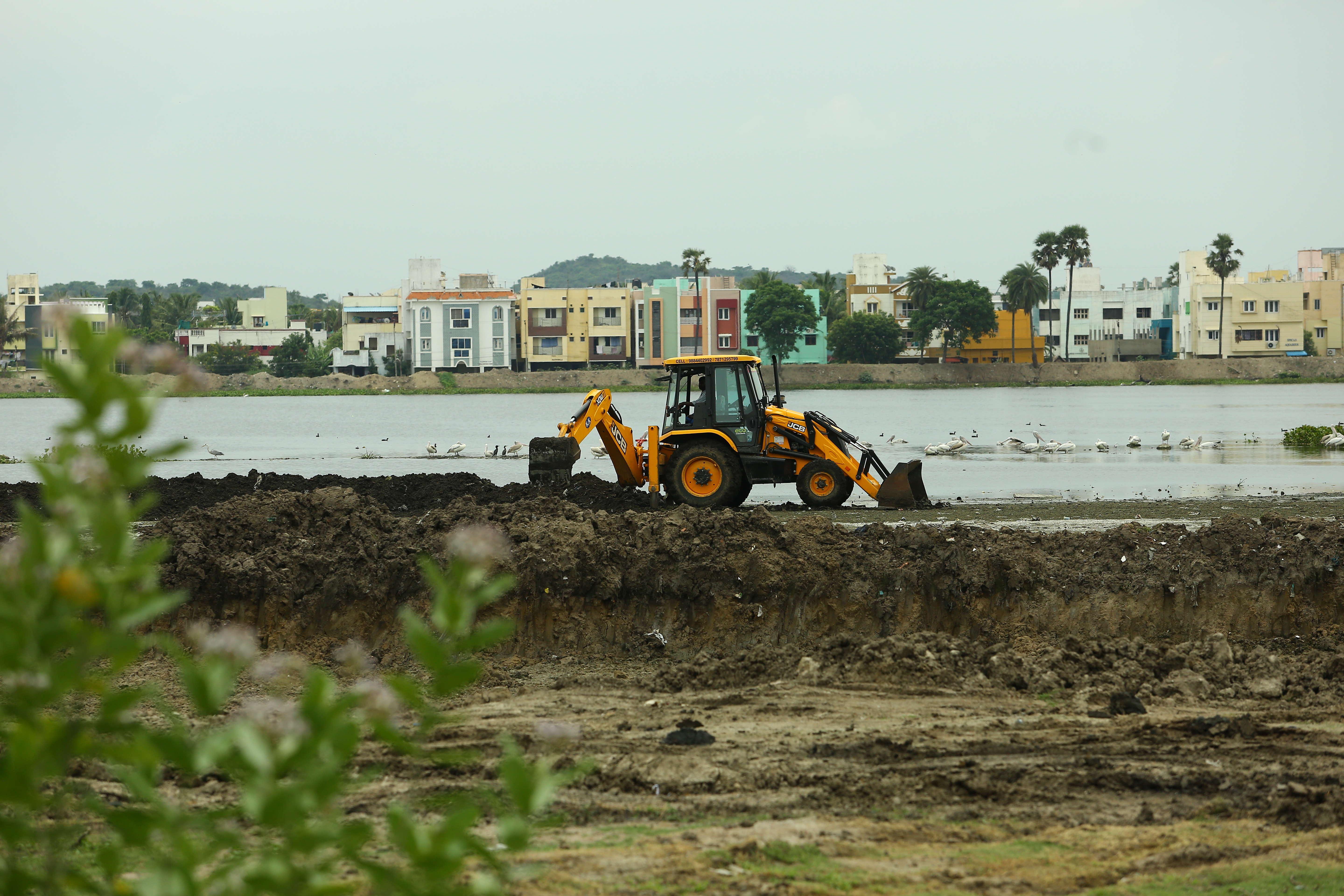 செம்பாக்கம் ஏரியில் நடைபெறும் சுத்திகரிப்புப் பணிகள்