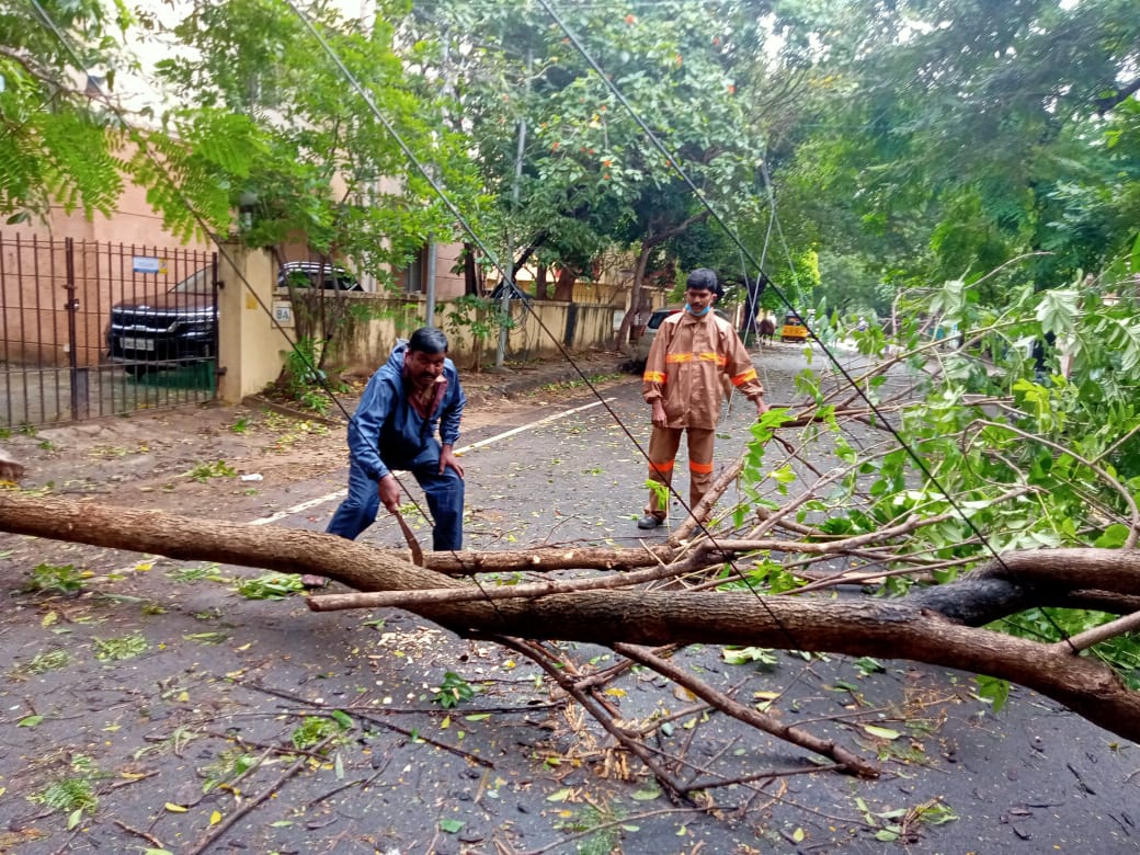 மரம் வெட்டும் பணியில் காவலர்கள்