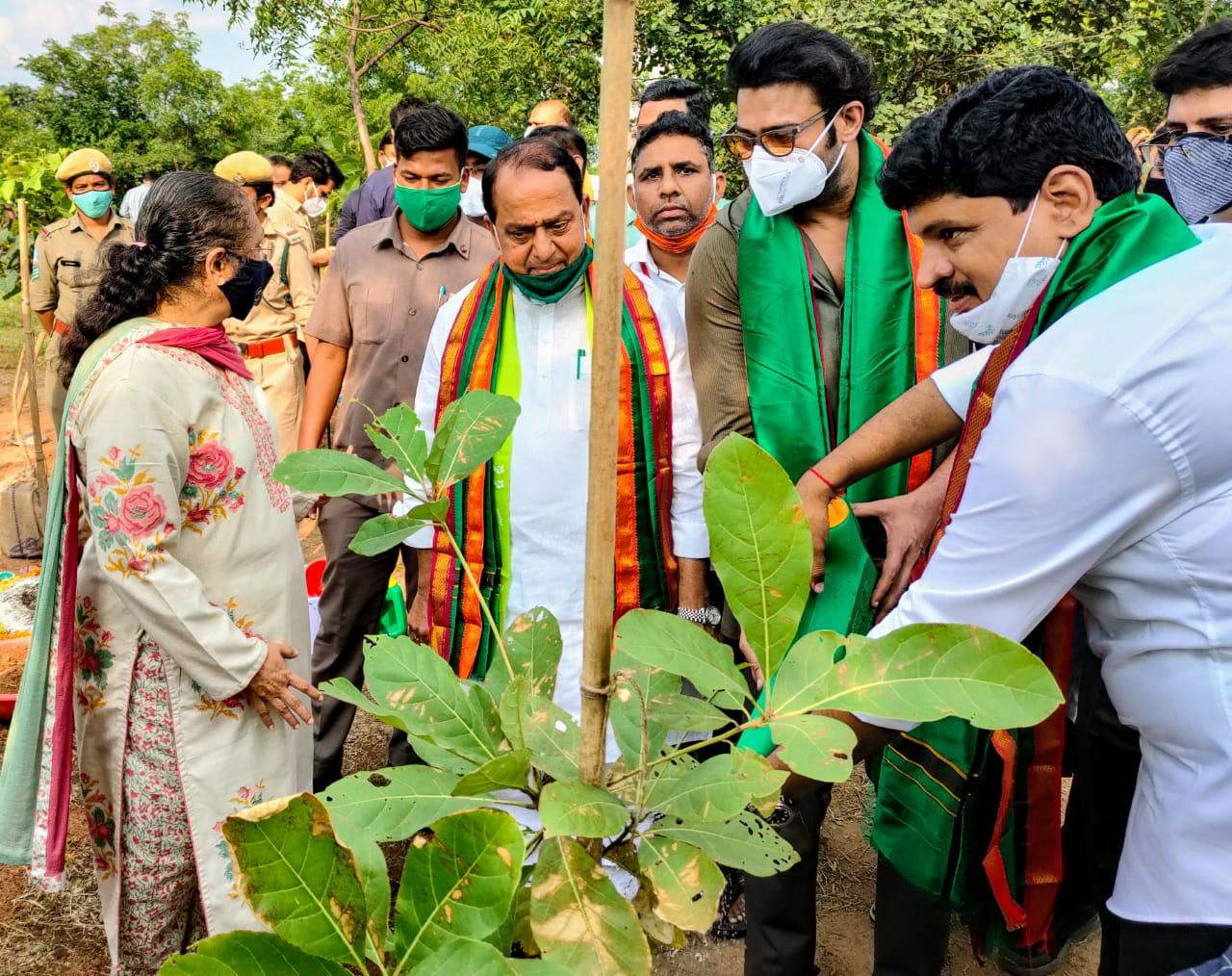 Actor prabhas adopts forest and donated Rs. 2 crore for its development