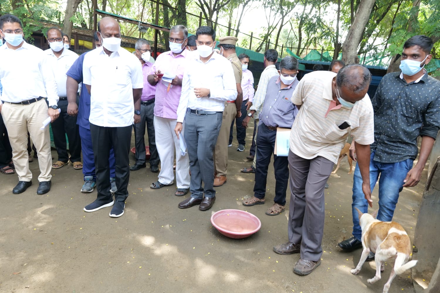 அமைச்சர் மா சுப்பிரமணியன், ஐஐடி நாய்கள், சென்னை ஐஐடி, minister subramanian, மான்கள் இறப்பு, chennai iit, நாய் கடித்து நாய்கள் இறப்பு