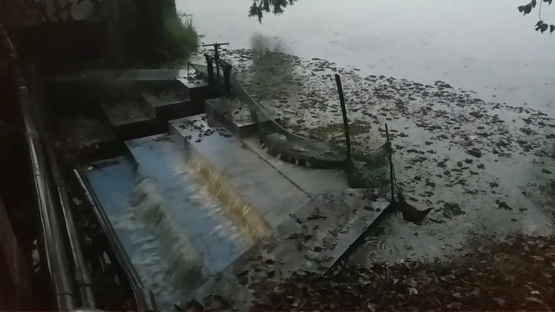 continuous rain in kodaikanal