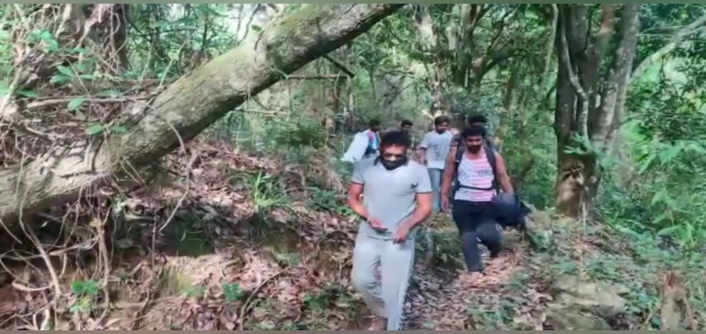 trekking at Kodaikanal