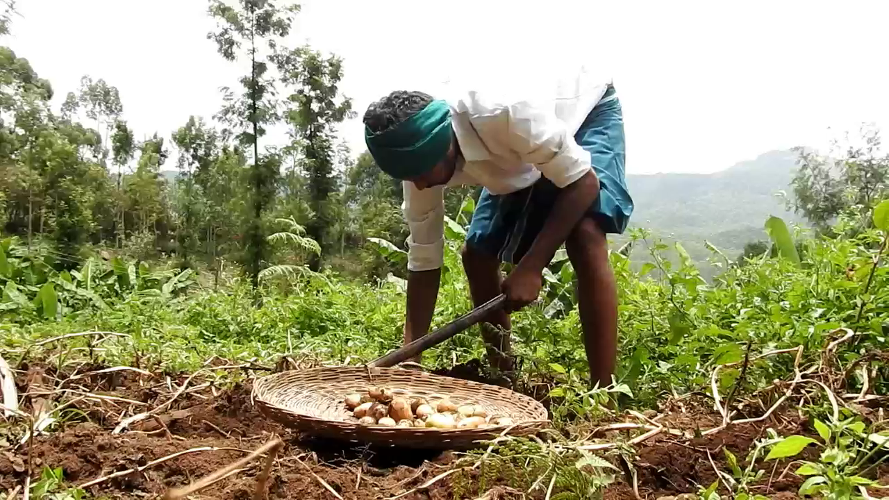 खेती में व्यस्त नन्दकुमार