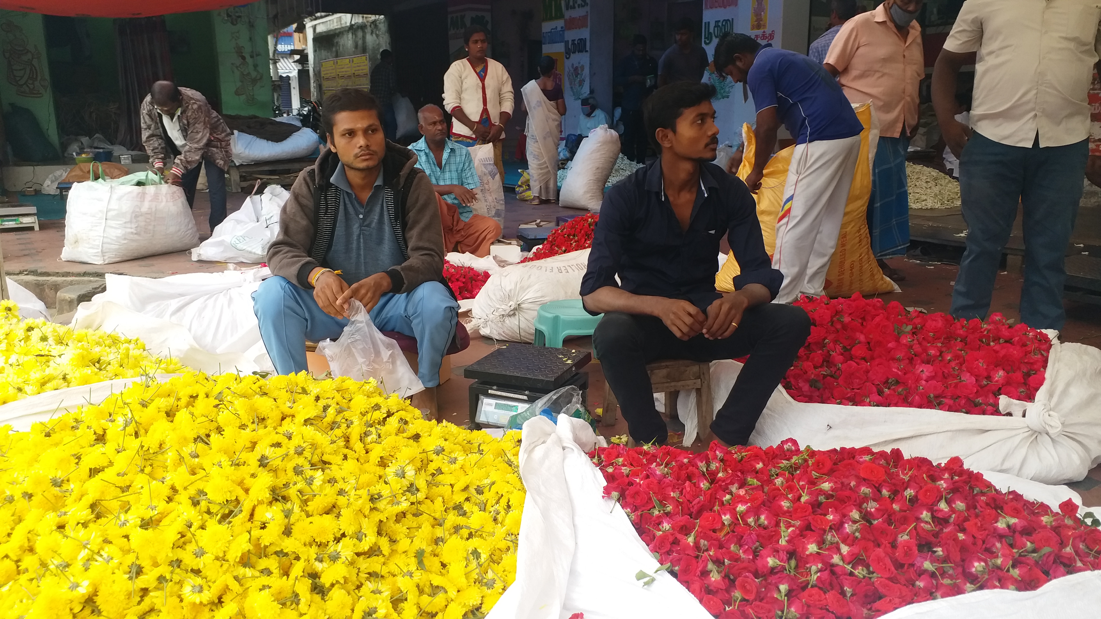 dharmapuri flower market update, பூ விலை நிலவரம், மலர் விலை நிலவரம், கார்த்திகை தினம், flower market price update, தர்மபுரி மலர் சந்தை, மலர் சந்தை நிலவரம்