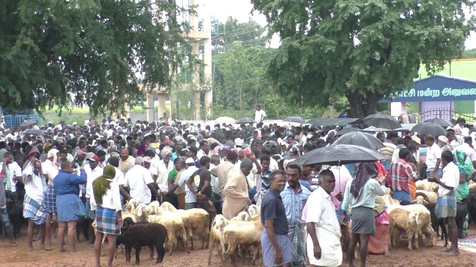 ஆட்டுச் சந்தையில் அலைமோதும் மக்கள்