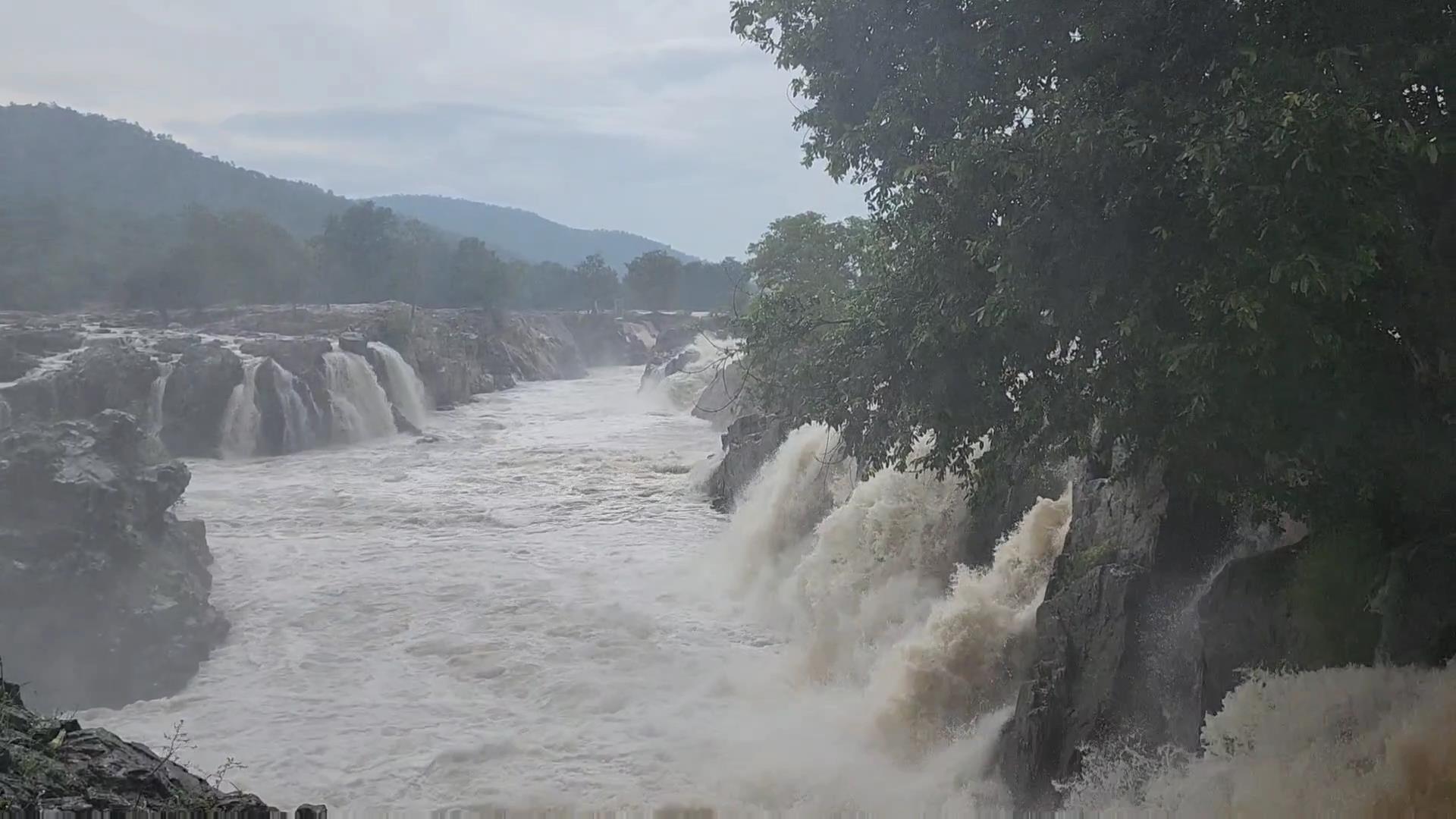 கரைகளை மறைக்கும் அளவிற்கு கரைபுரண்டு ஓடும் காவிரி ஆற்றின் ரம்மியமான காட்சி