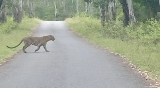 சத்தியமங்கலம்