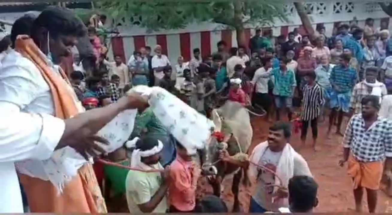 Bullfighting festival in violation of the ban Police registered a case at madurai