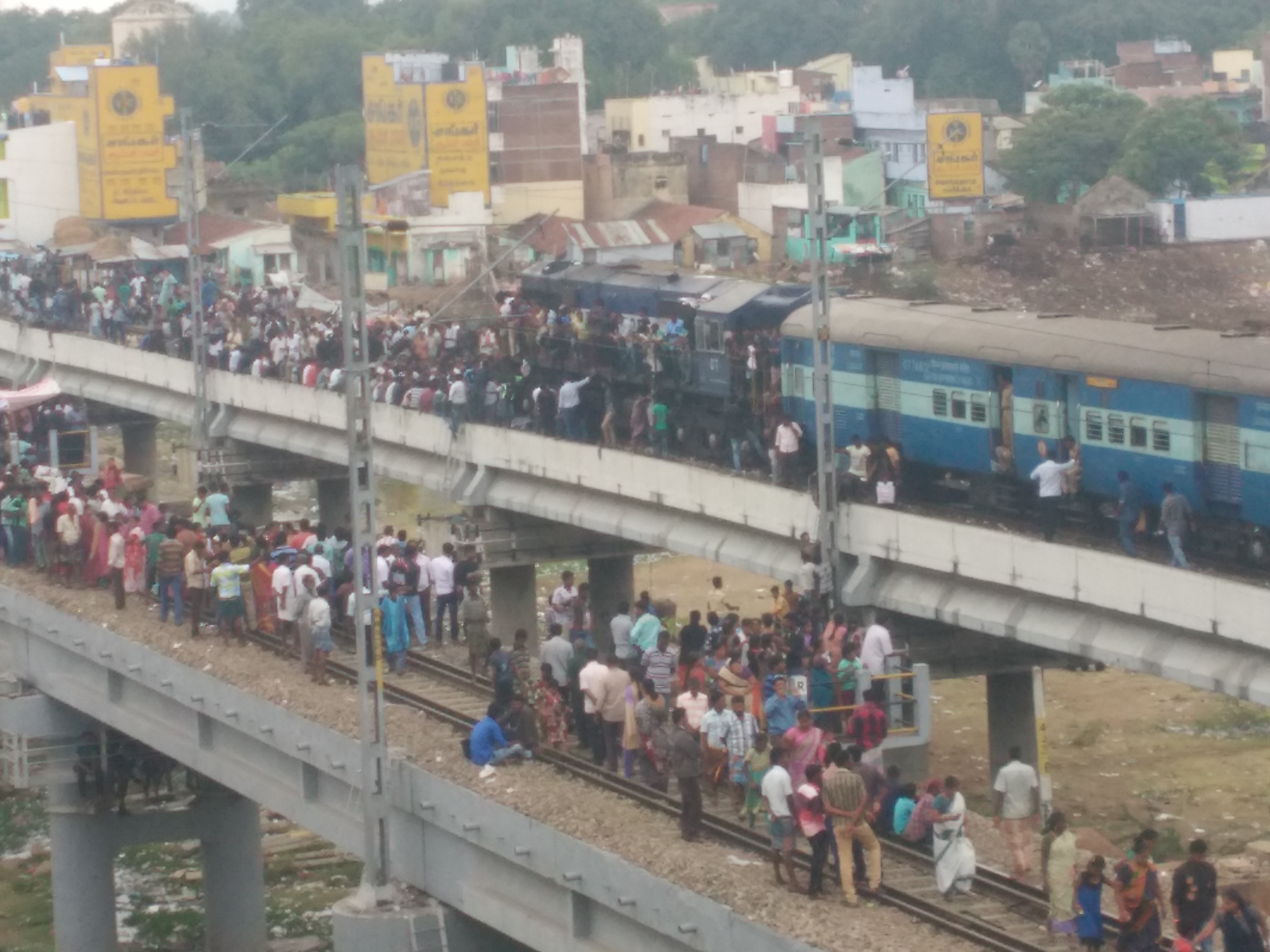 Rail Stir Fight for Jallikkattu that moves in the memories