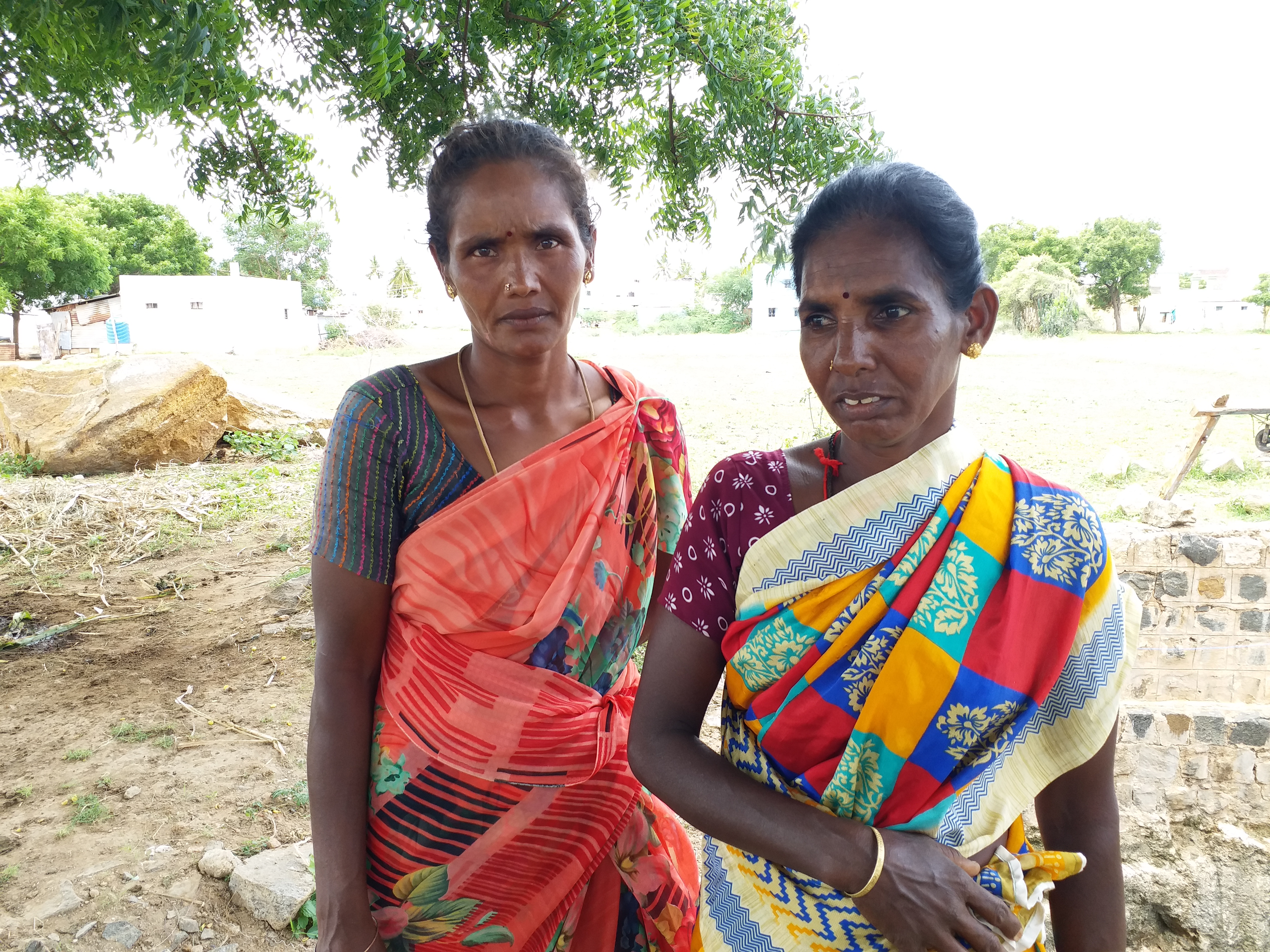 மதுரை மாவட்டச் செய்திகள்  மேக்கிலார் பட்டி மாடு  கிணற்றுக்குள் விழுந்த மாடு  madurai district latest news  meikilarpatti cow  meikilarpatti cow rescue  மேக்கிலார்பட்டி