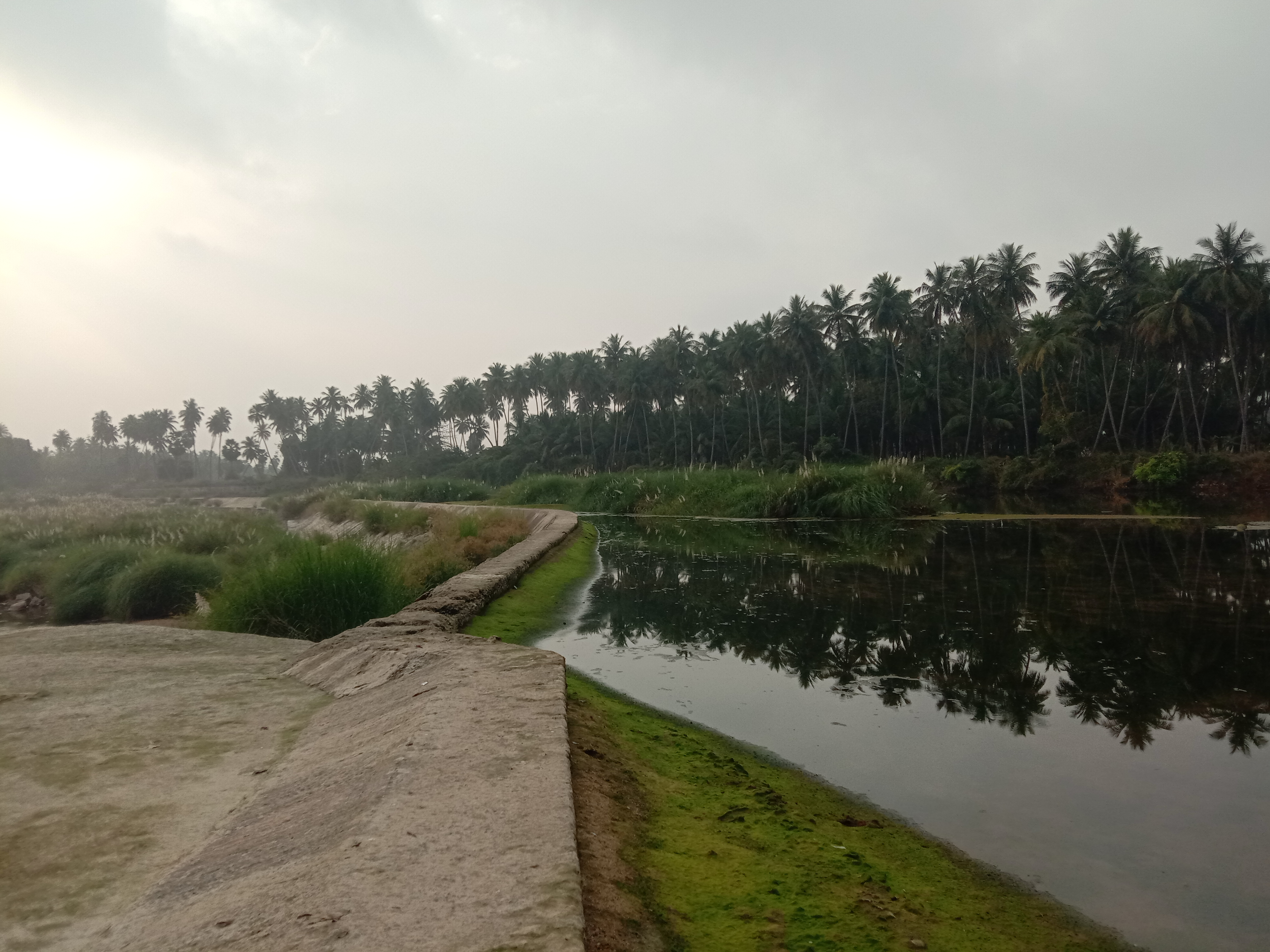 ஆயிரமாண்டு பழமையான பாண்டியன் அணை