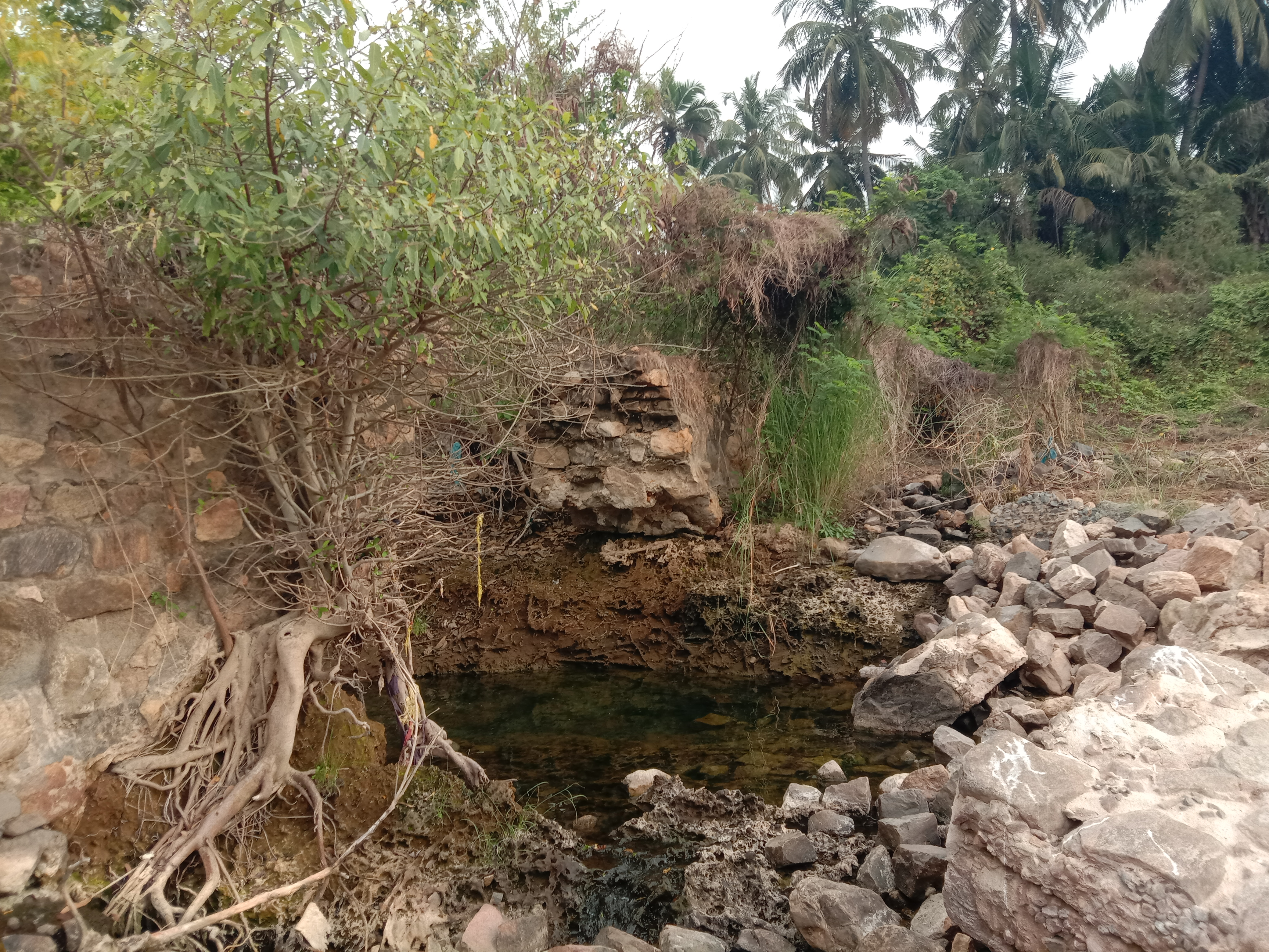 ஆயிரமாண்டு பழமையான பாண்டியன் அணை