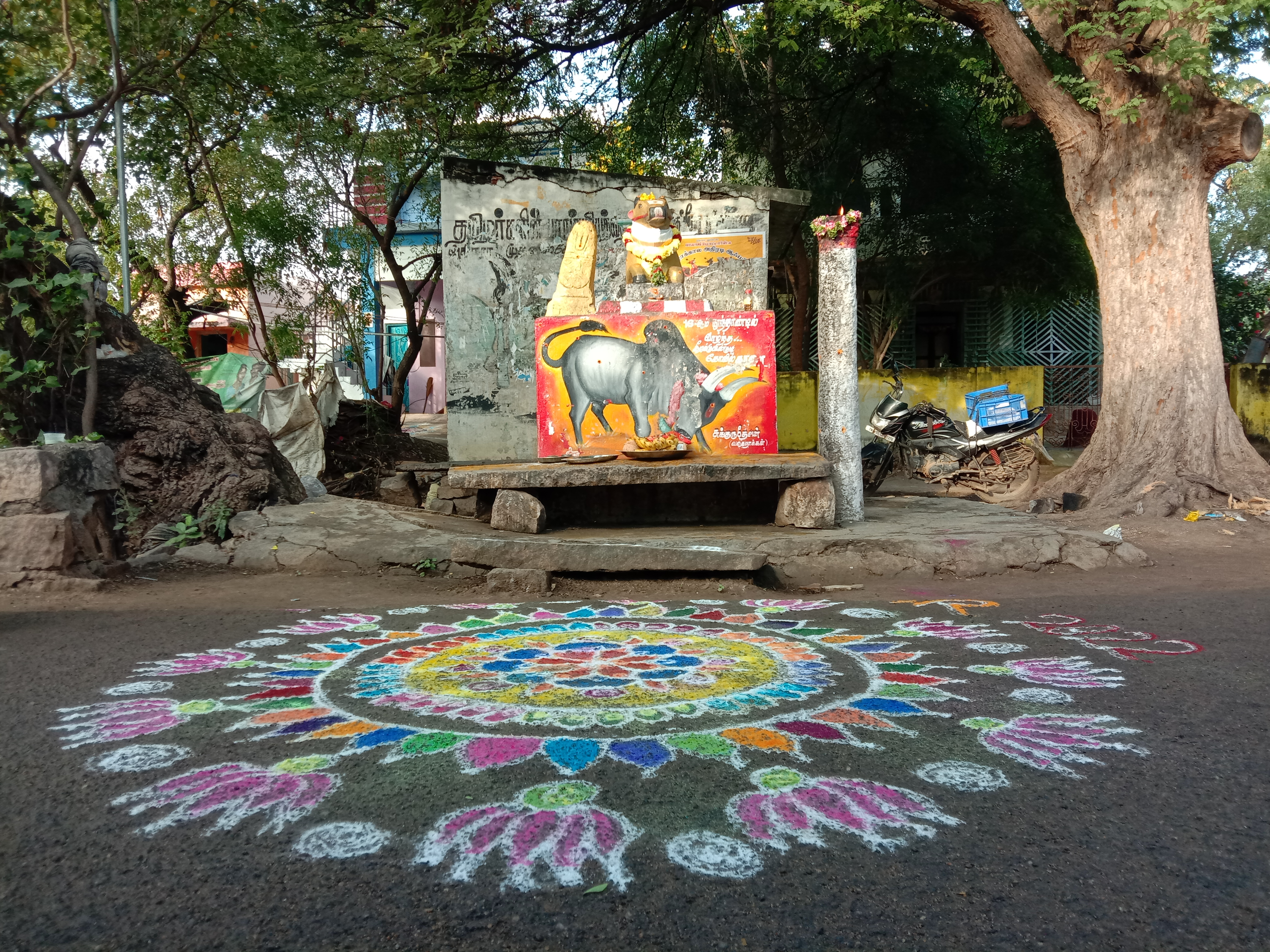 Sukkuru Dhevan Bull Statue, Madurai Keelakuyilkudi Bull Statue, மதுரை கீழகுயில்குடி காளை சிலை, சுக்குரு தேவன் காளை சிலை