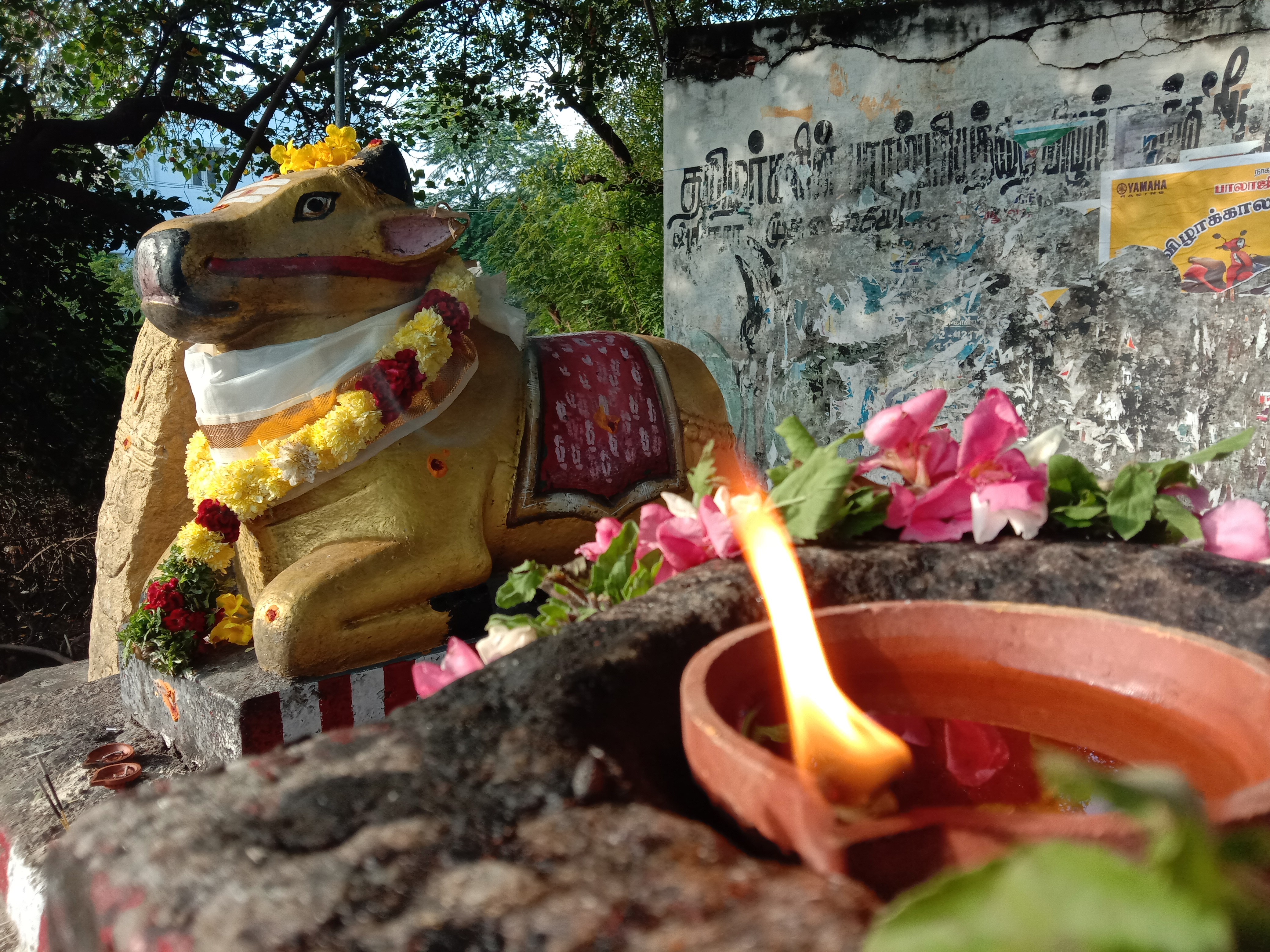 Sukkuru Dhevan Bull Statue, Madurai Keelakuyilkudi Bull Statue, மதுரை கீழகுயில்குடி காளை சிலை, சுக்குரு தேவன் காளை சிலை