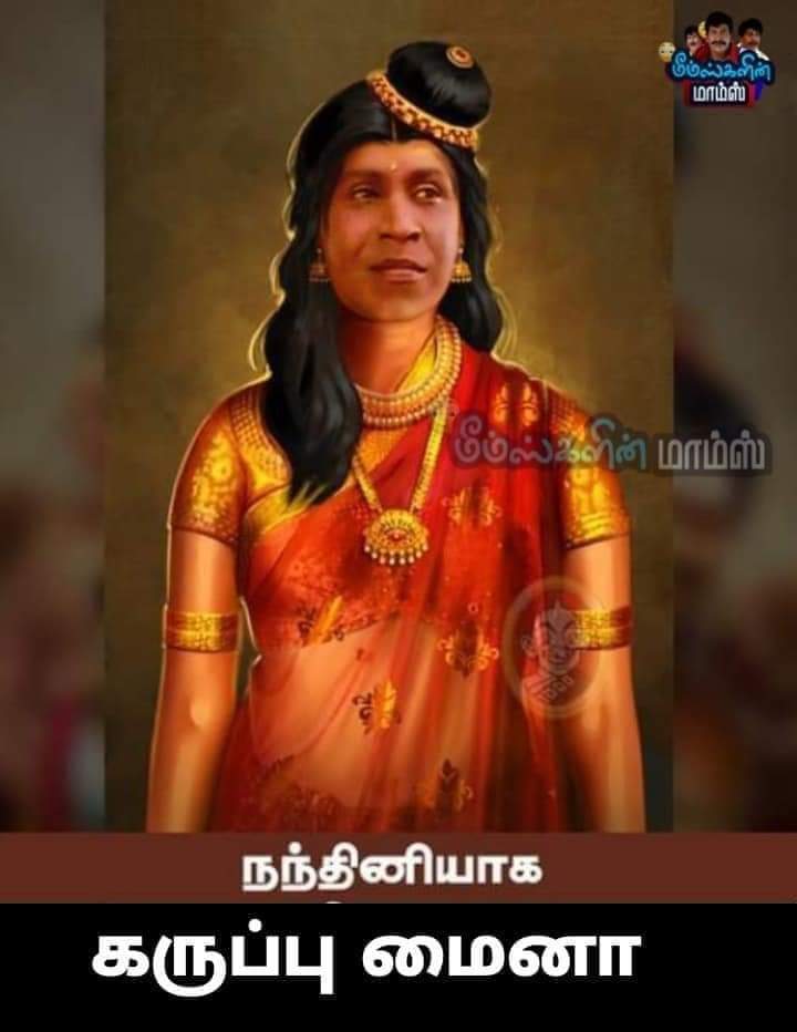 நந்தினியாக கருப்பு மைனா