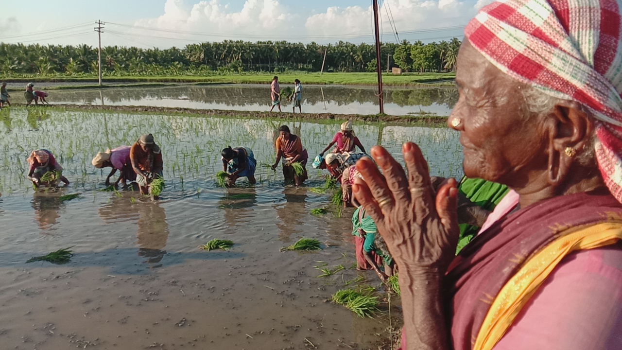 விவசாயிகளுக்கு பலன் அளிக்குமா வேளாண் சட்டம்