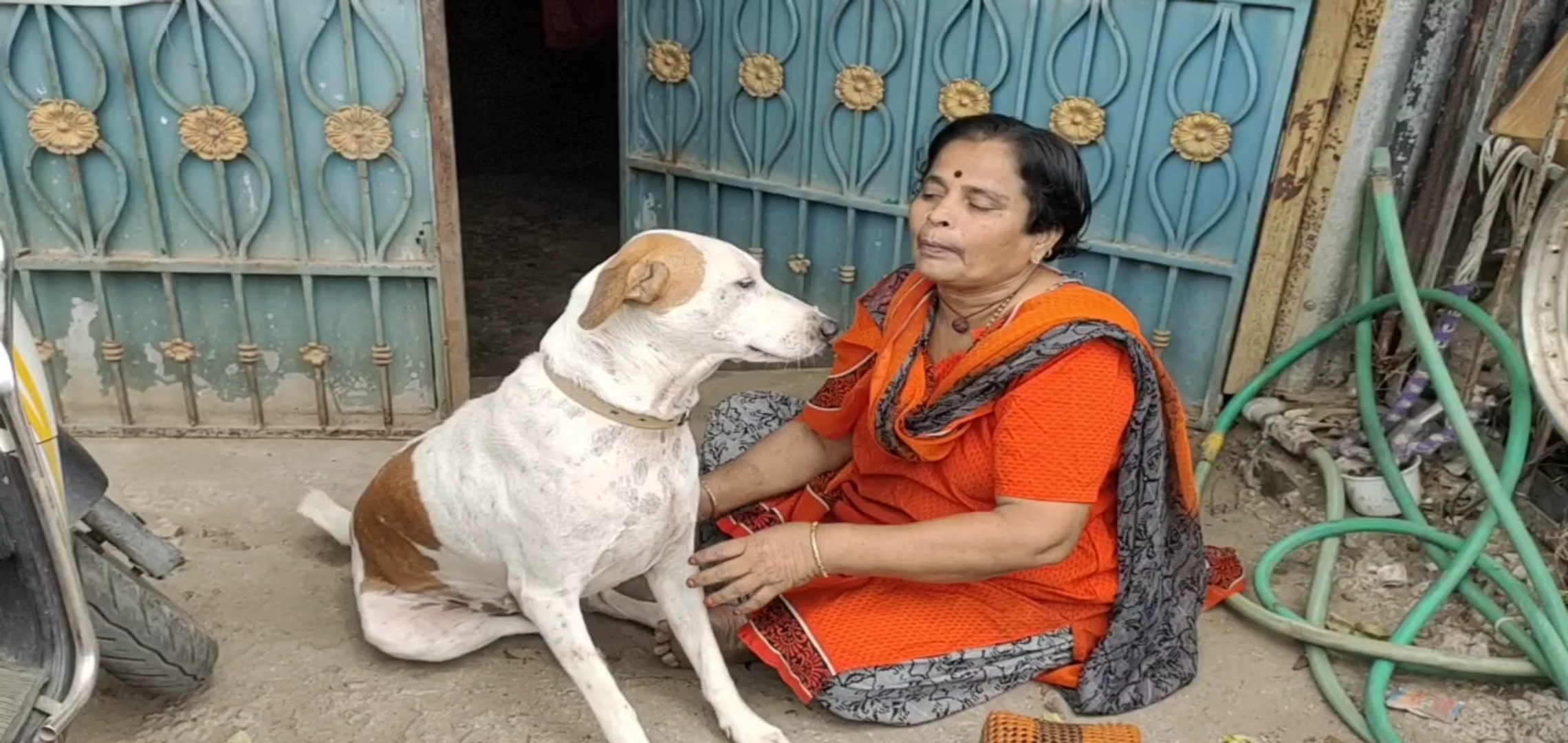 dog buys things for childless owner in mayiladuthurai