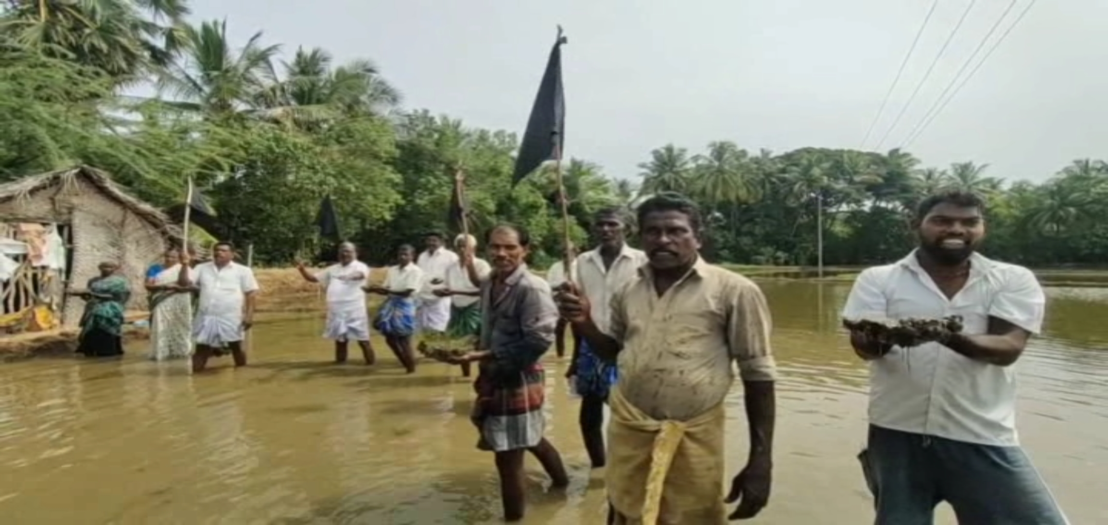 mayiladuthurai-farmers-protest-against-water-invading-in-farming-land