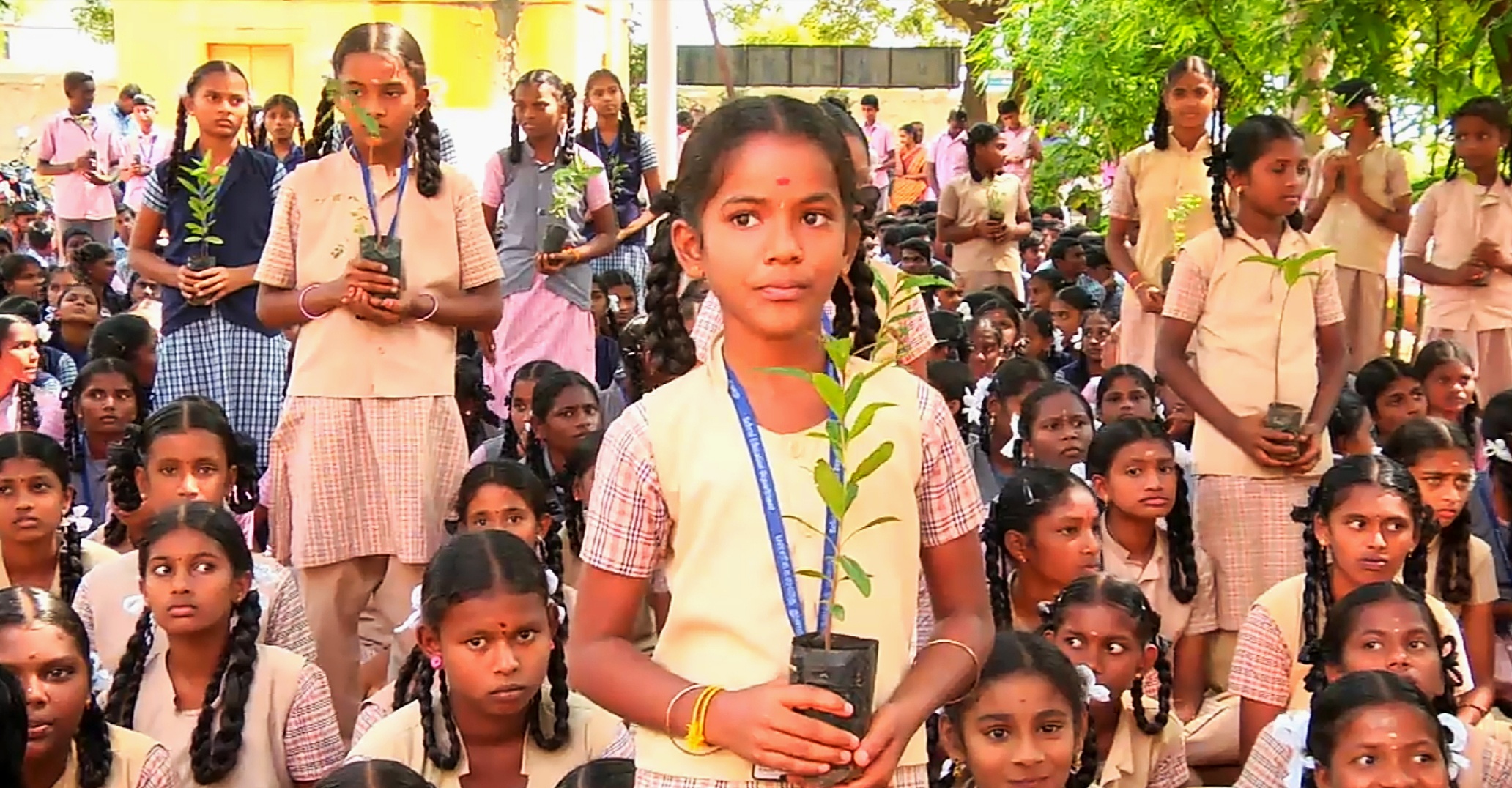 மரக்கன்றை நடும் மாணவிகள்